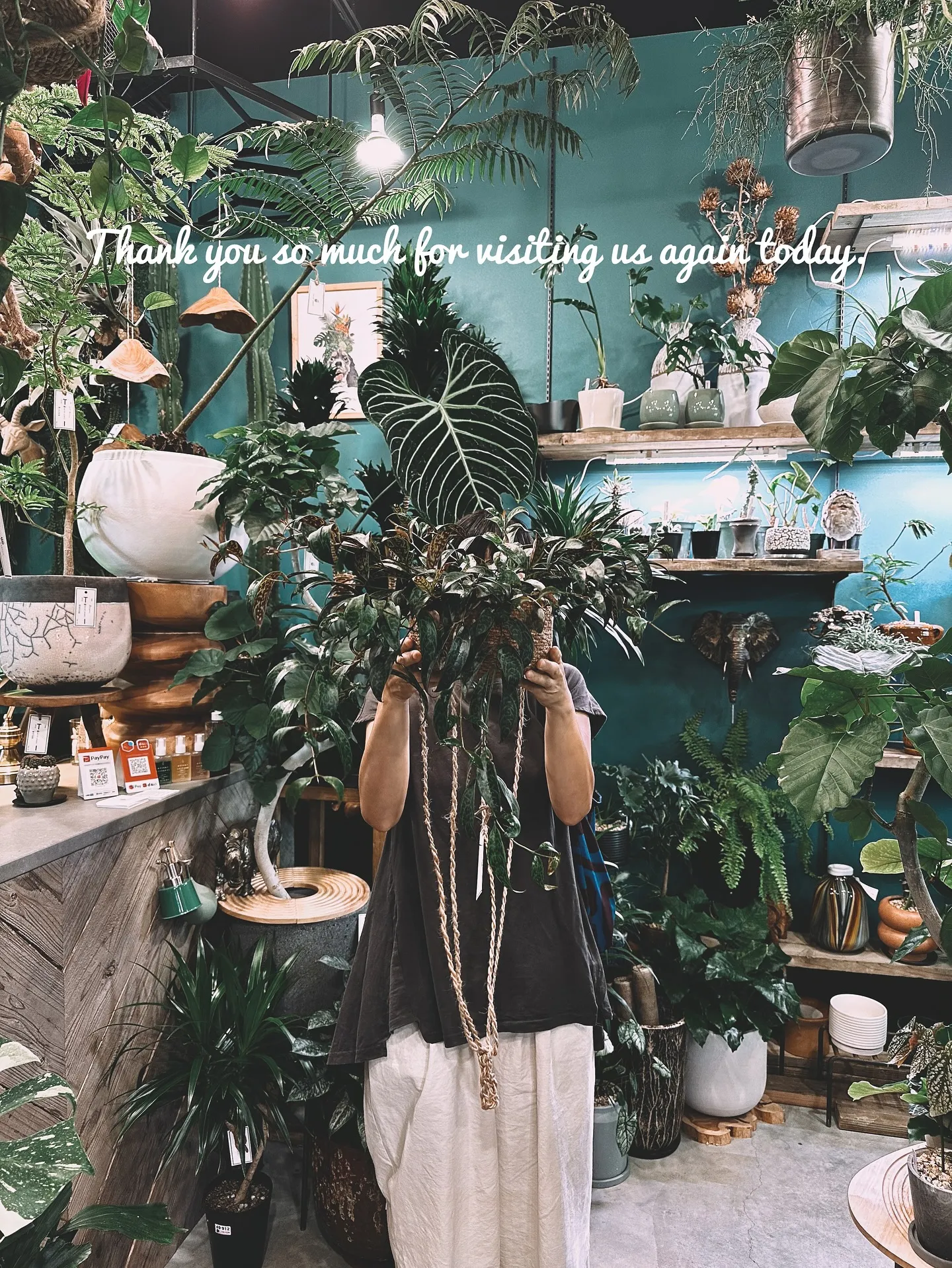 【信楽焼の秋冬の新作鉢入荷のご案内♡barrelplants...
