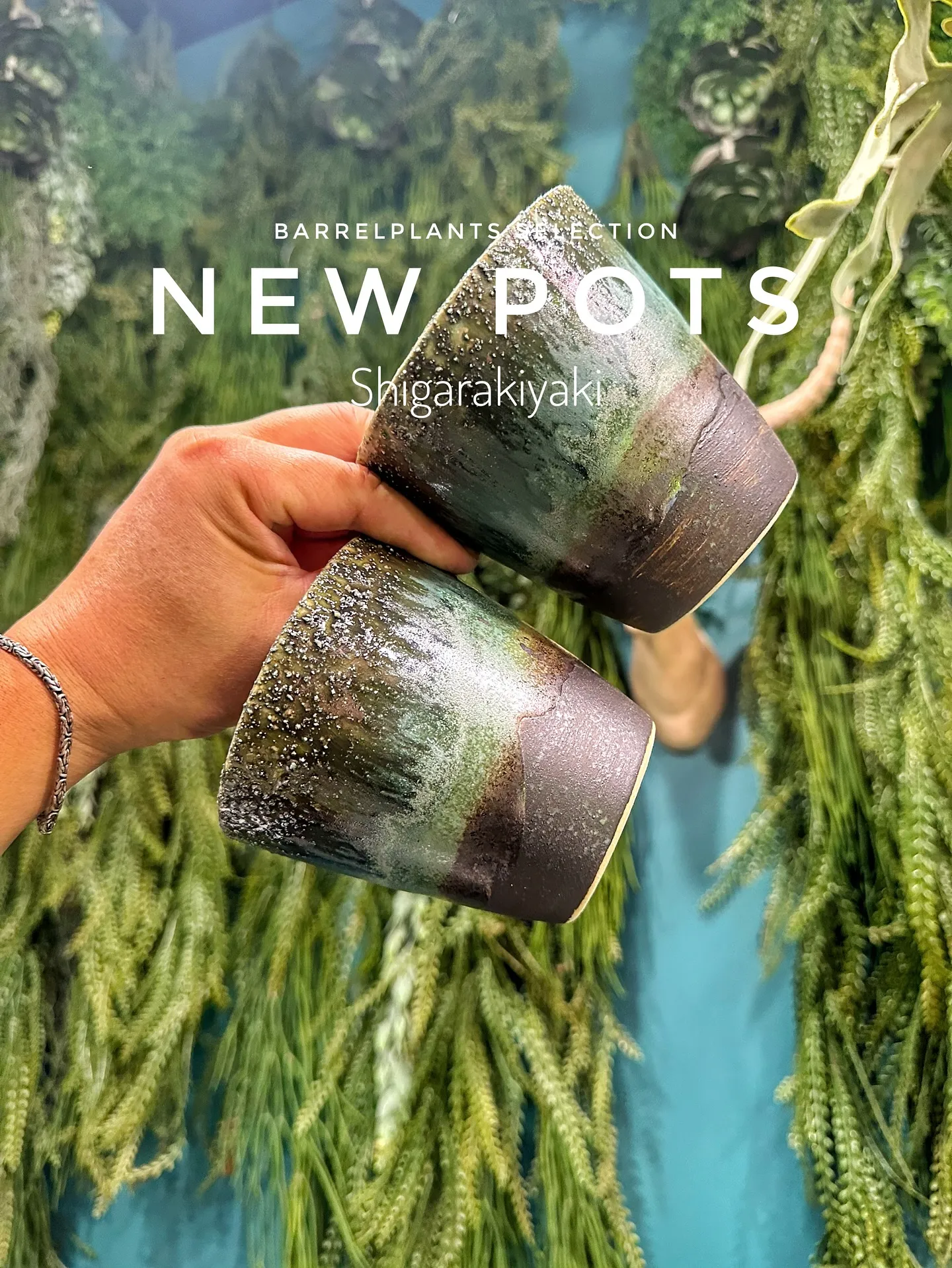 【信楽焼の秋冬の新作鉢入荷のご案内♡barrelplants...