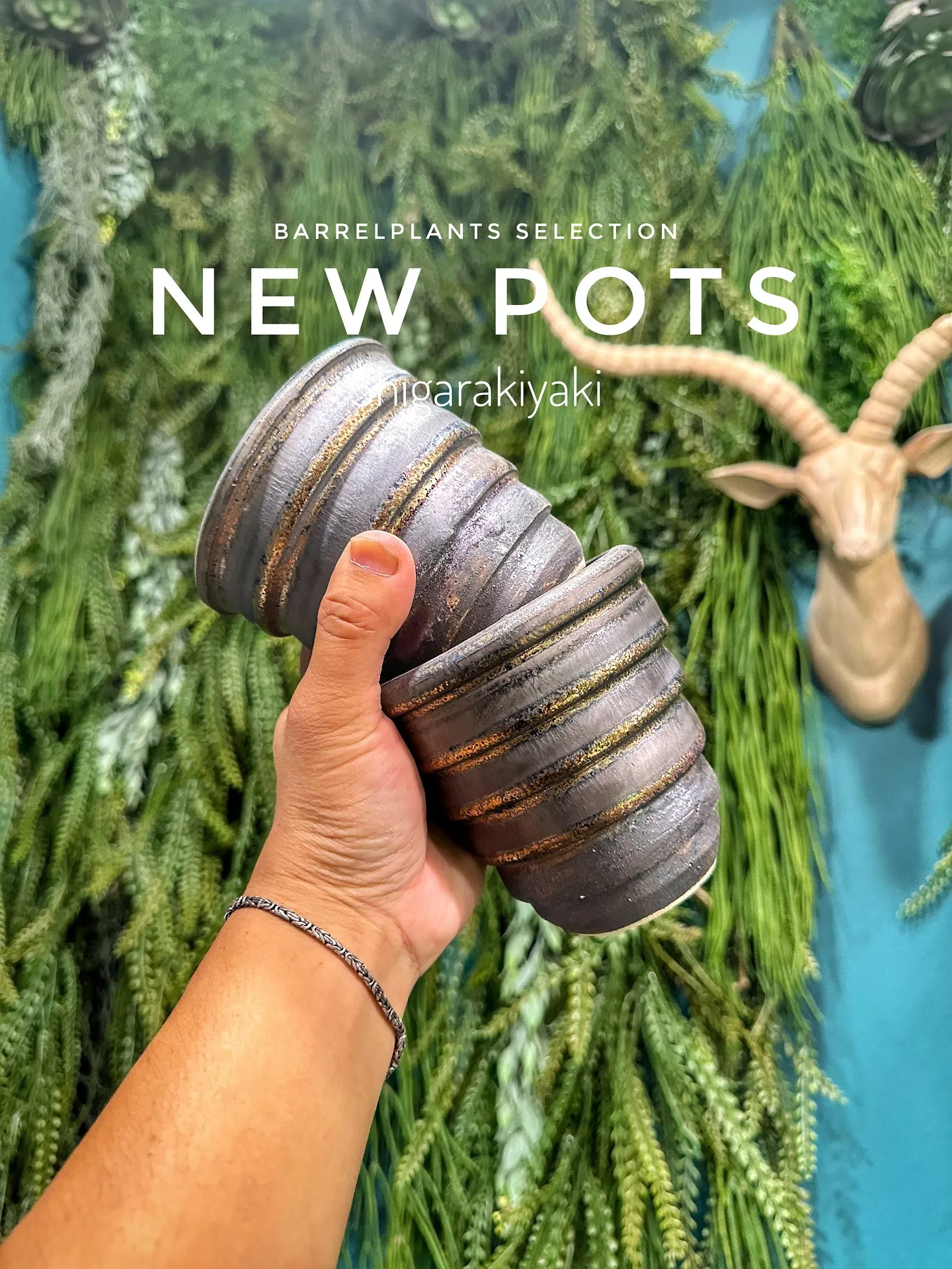 【信楽焼の秋冬の新作鉢入荷のご案内♡barrelplants...
