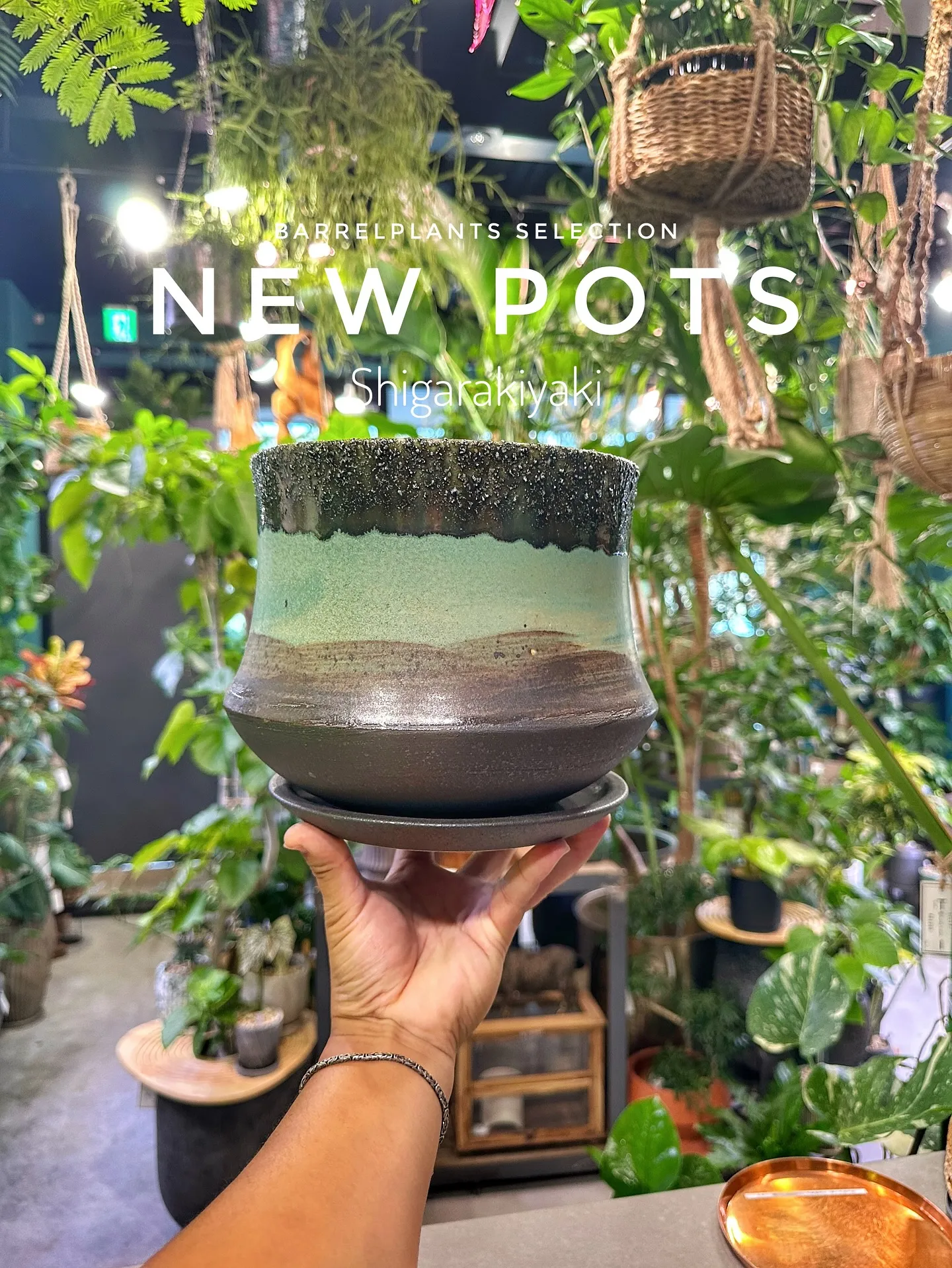 【信楽焼の秋冬の新作鉢入荷のご案内♡barrelplants...