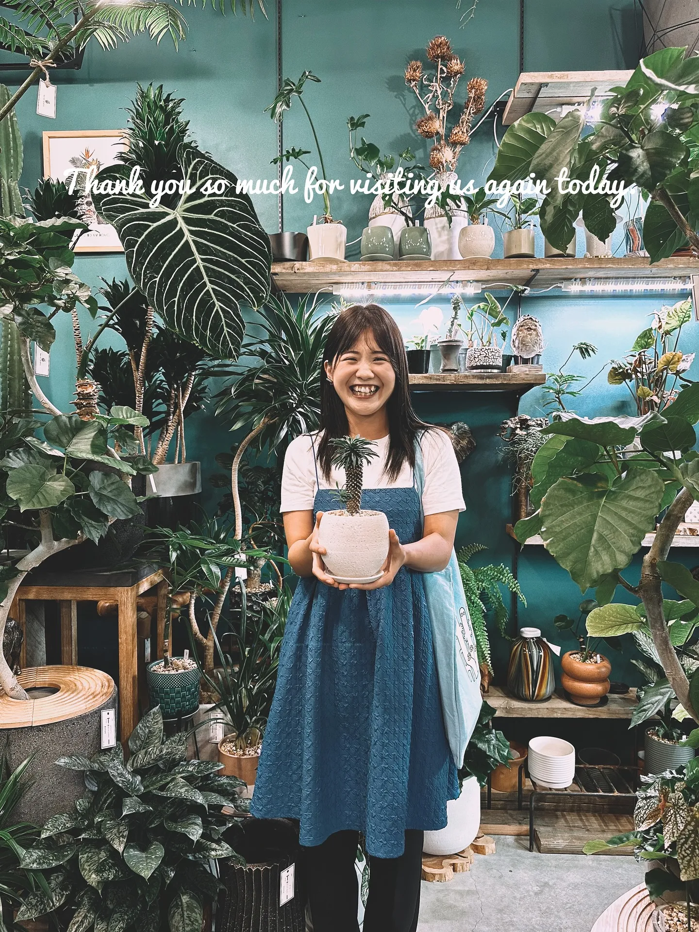 【信楽焼の秋冬の新作鉢入荷のご案内♡barrelplants...