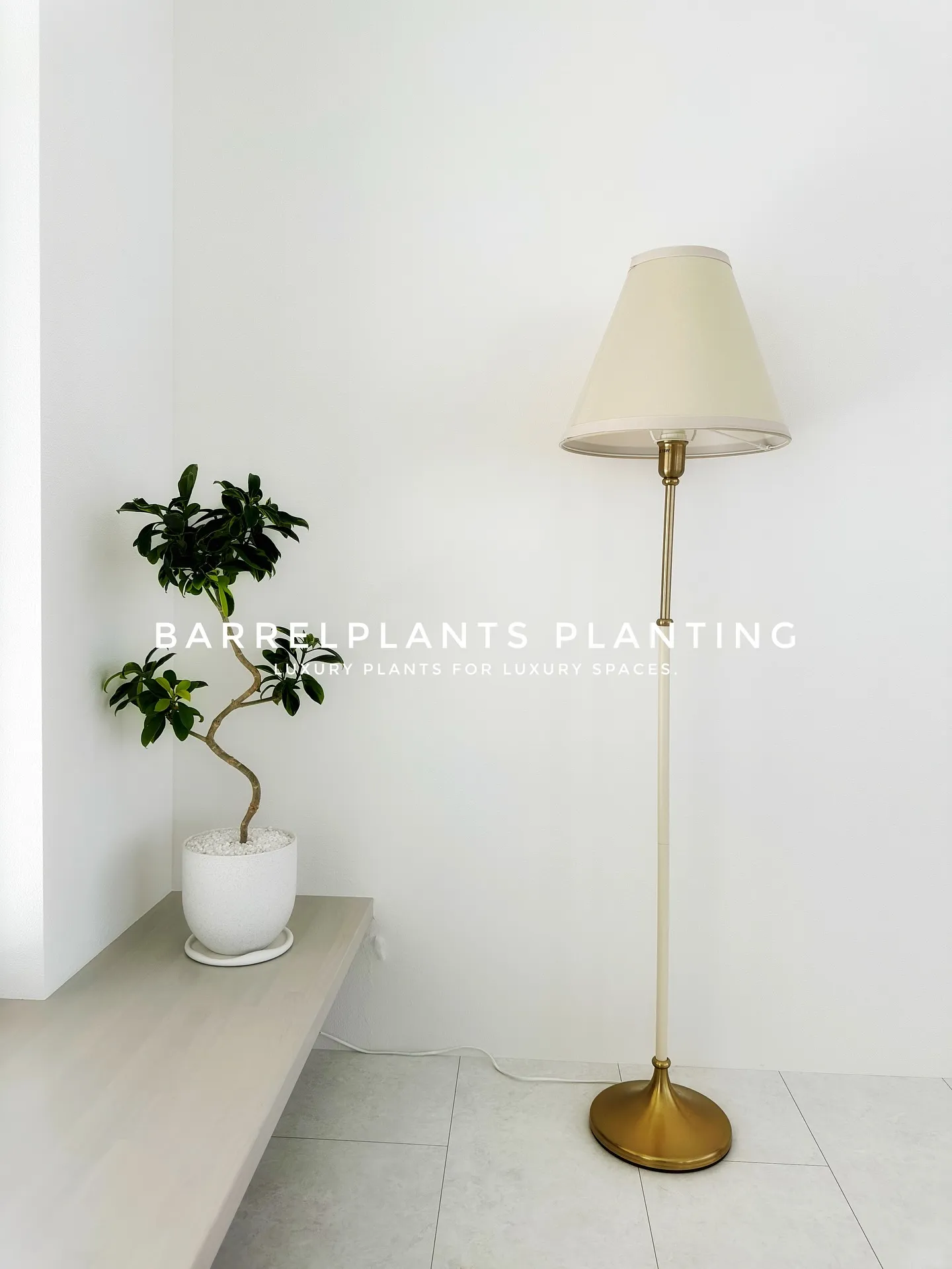 【こだわりの空間にこだわりの植物を。