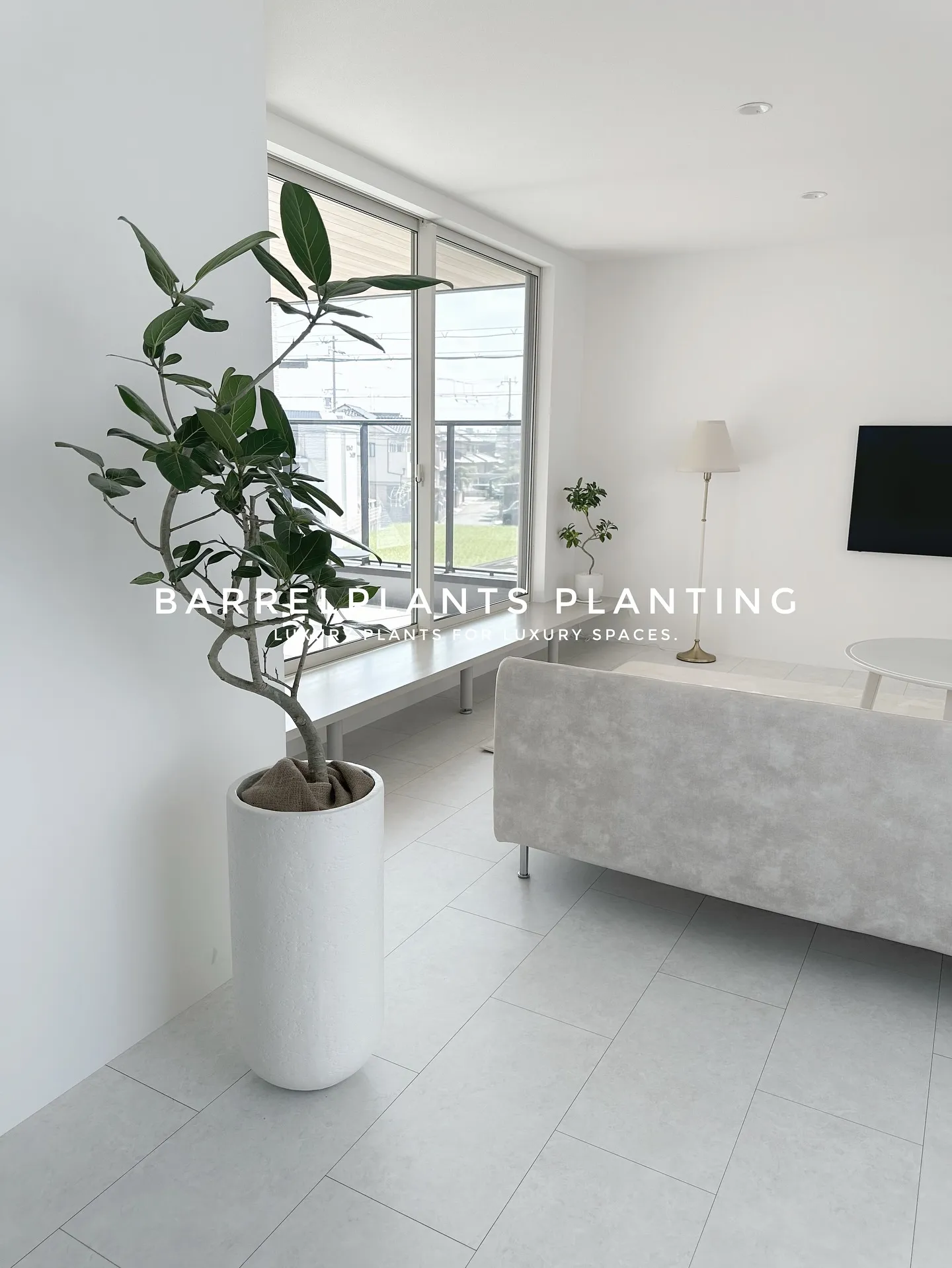【こだわりの空間にこだわりの植物を。