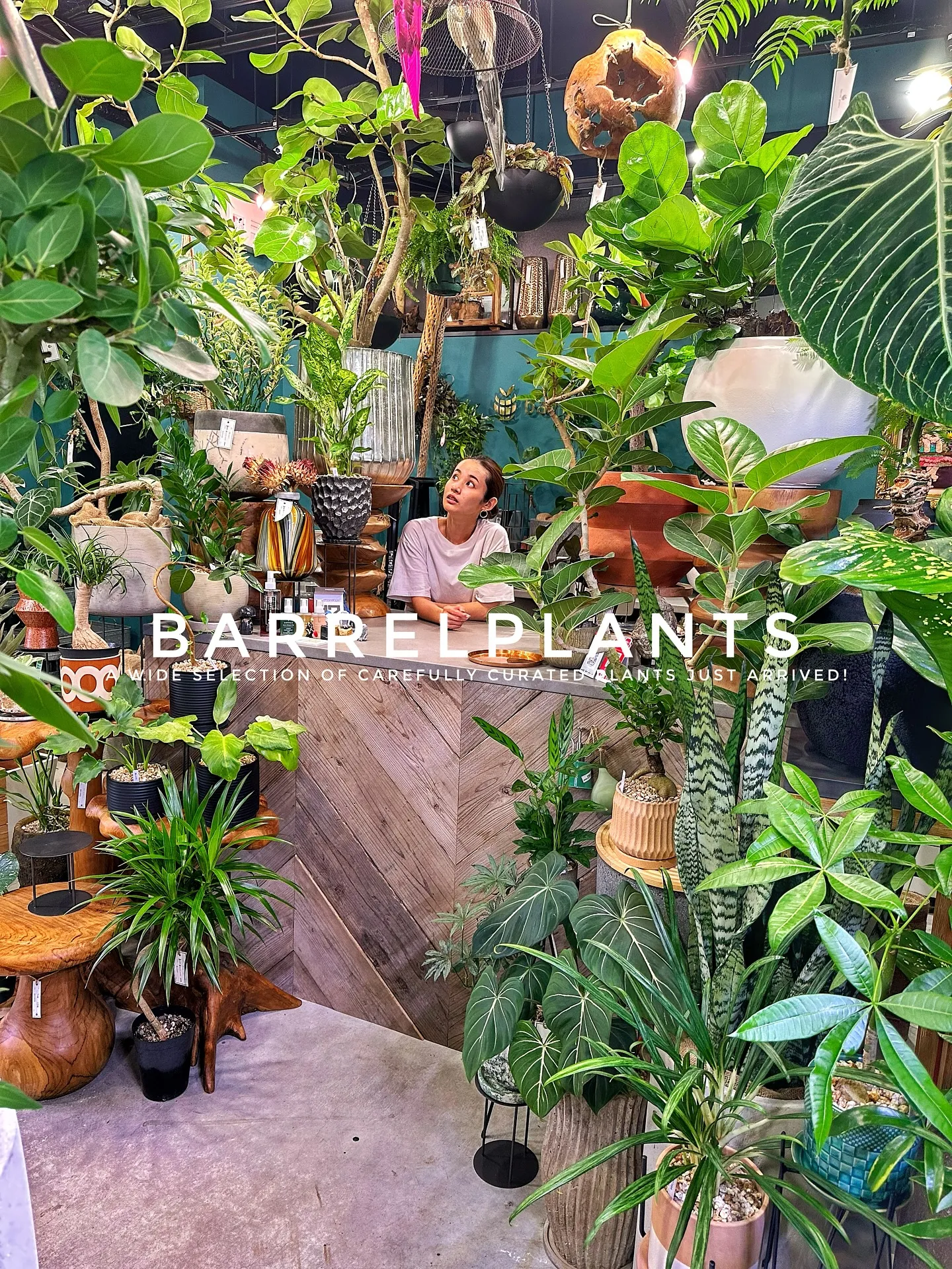 【こだわりの植物とこだわりの鉢のお店、植物専門店barrel...