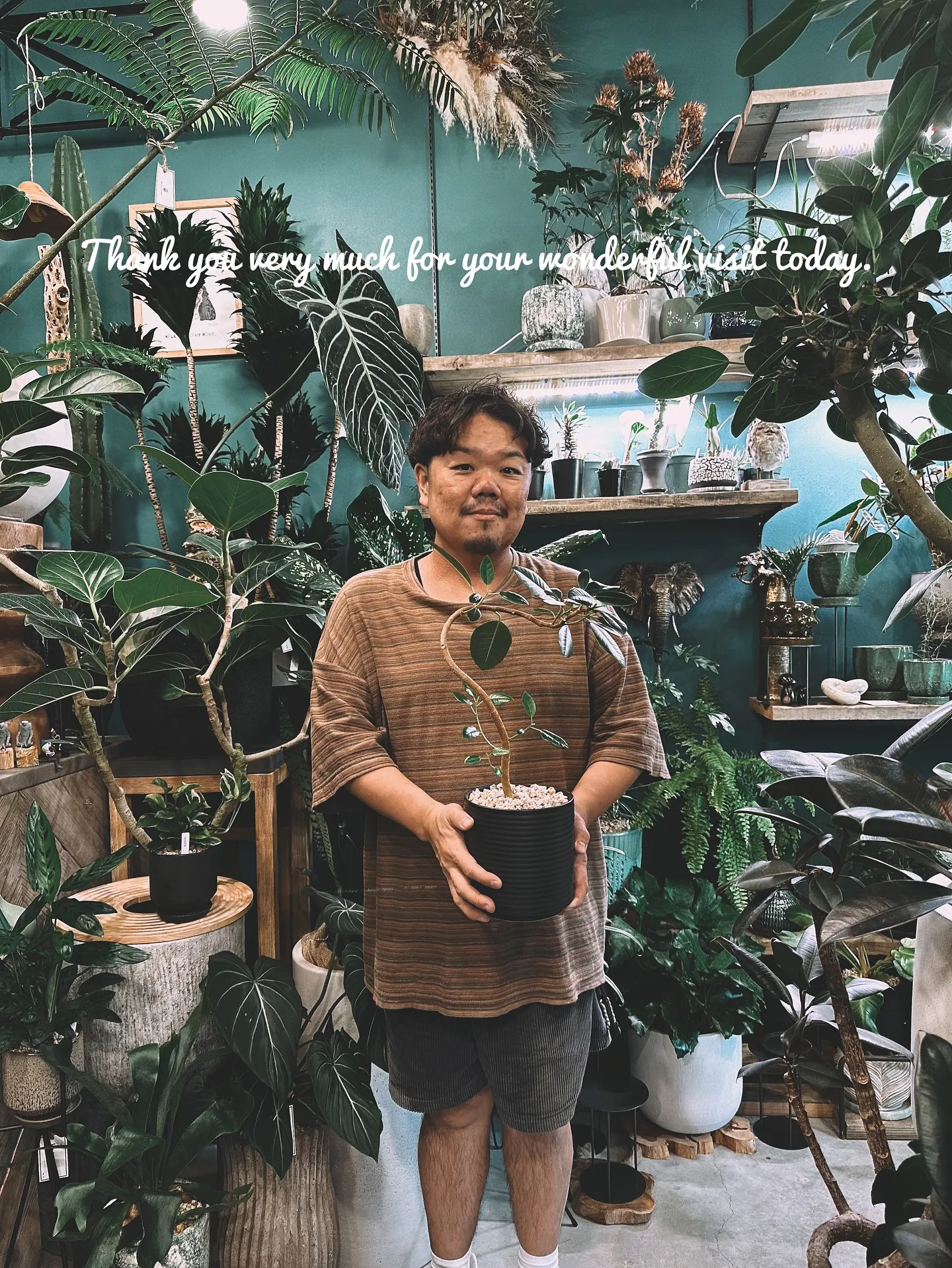【秋冬の新作の鉢には何を植えようかなぁーと考えている今日この...