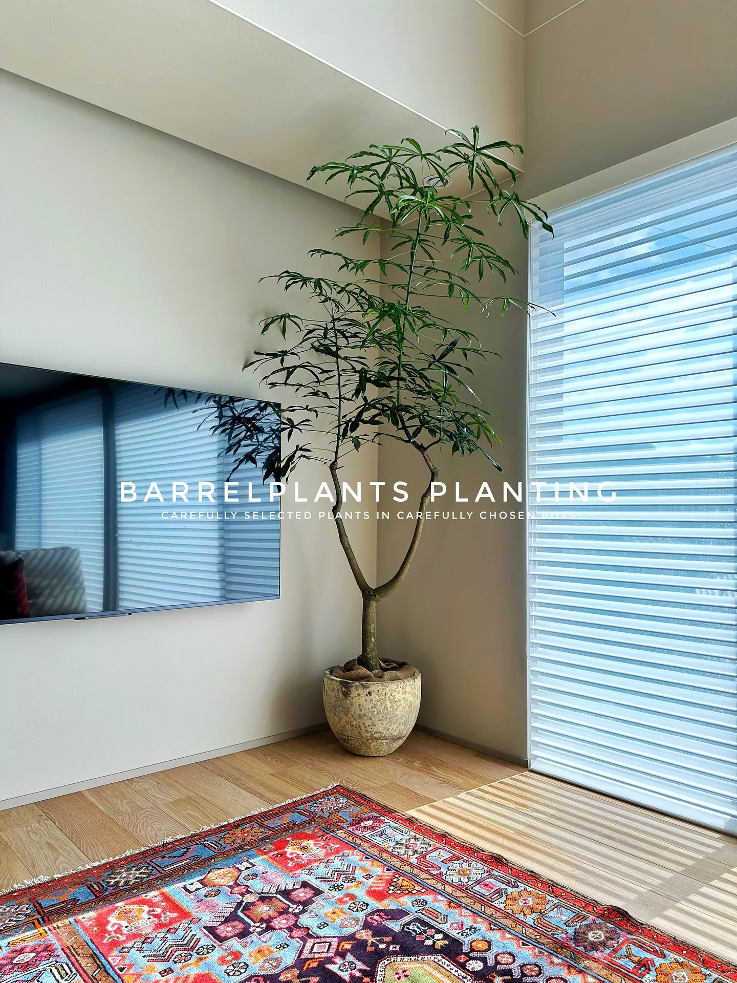 【こだわりの空間に、こだわりの植物を。