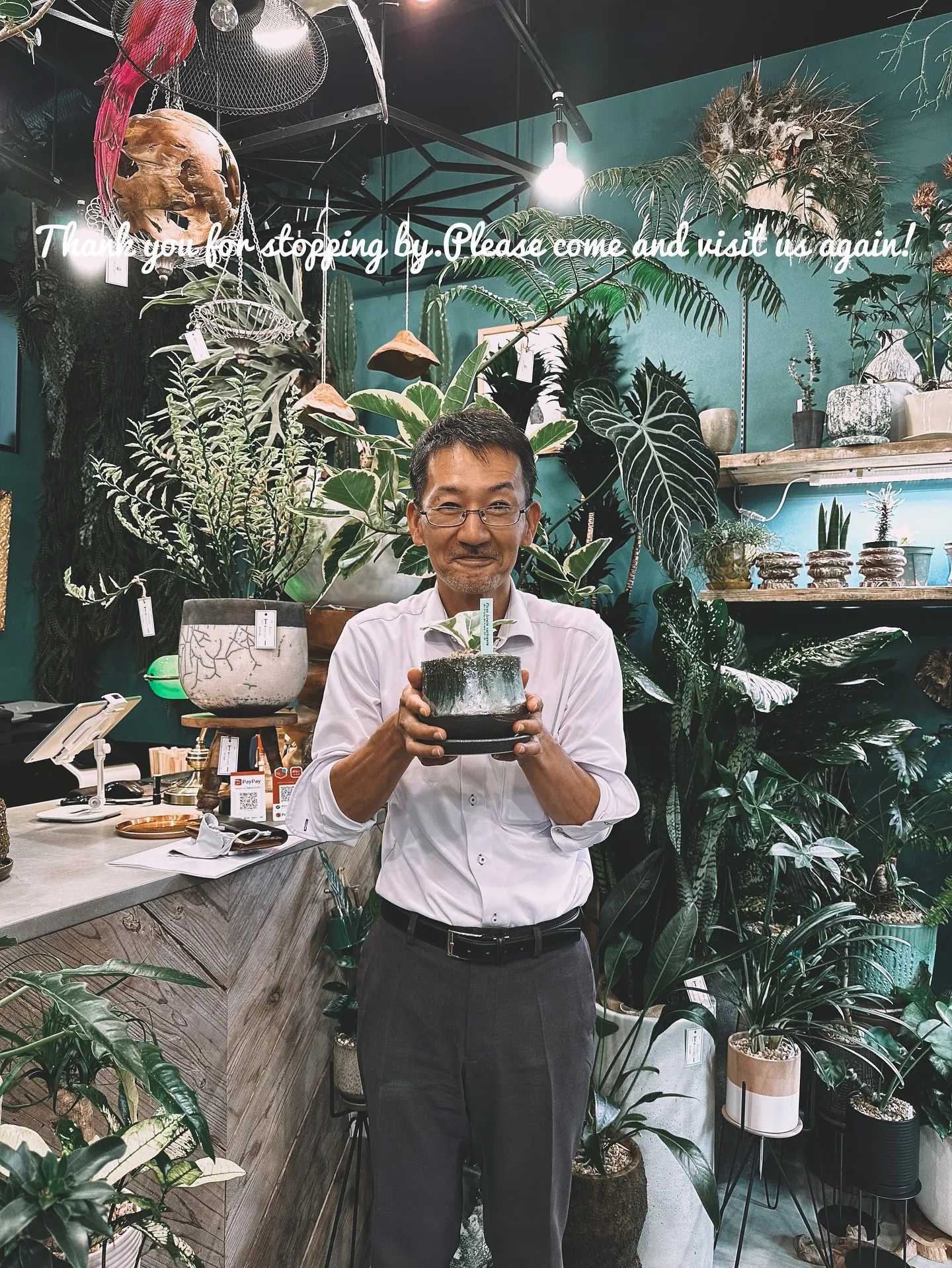 【こだわりの空間に、こだわりの植物を。