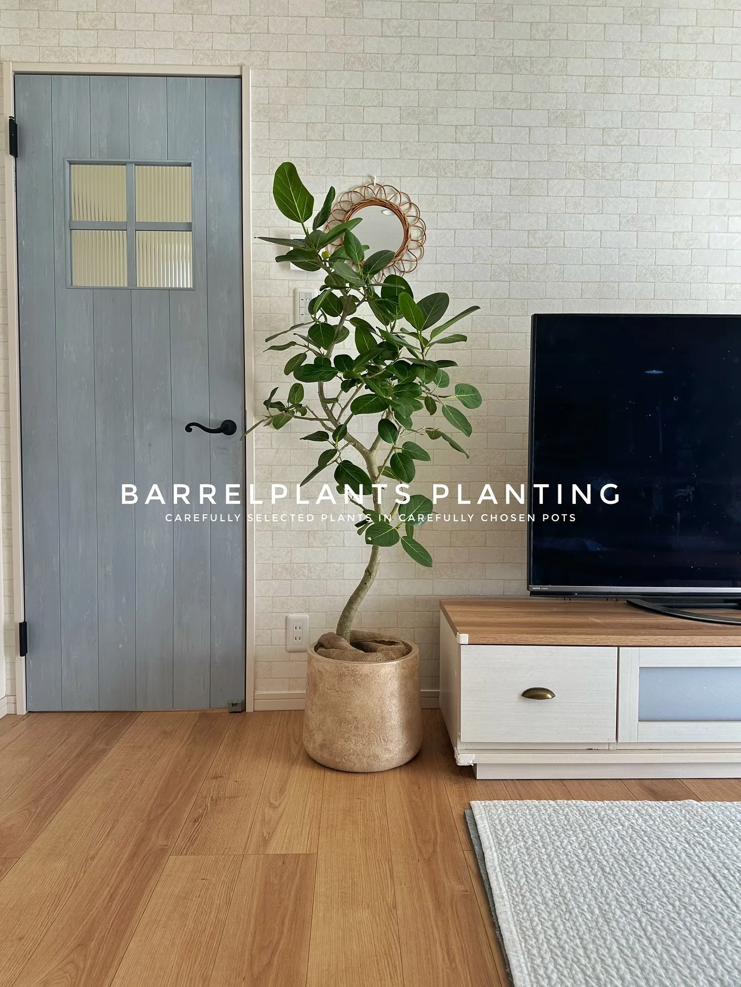 【こだわりの空間に、こだわりの植物を。