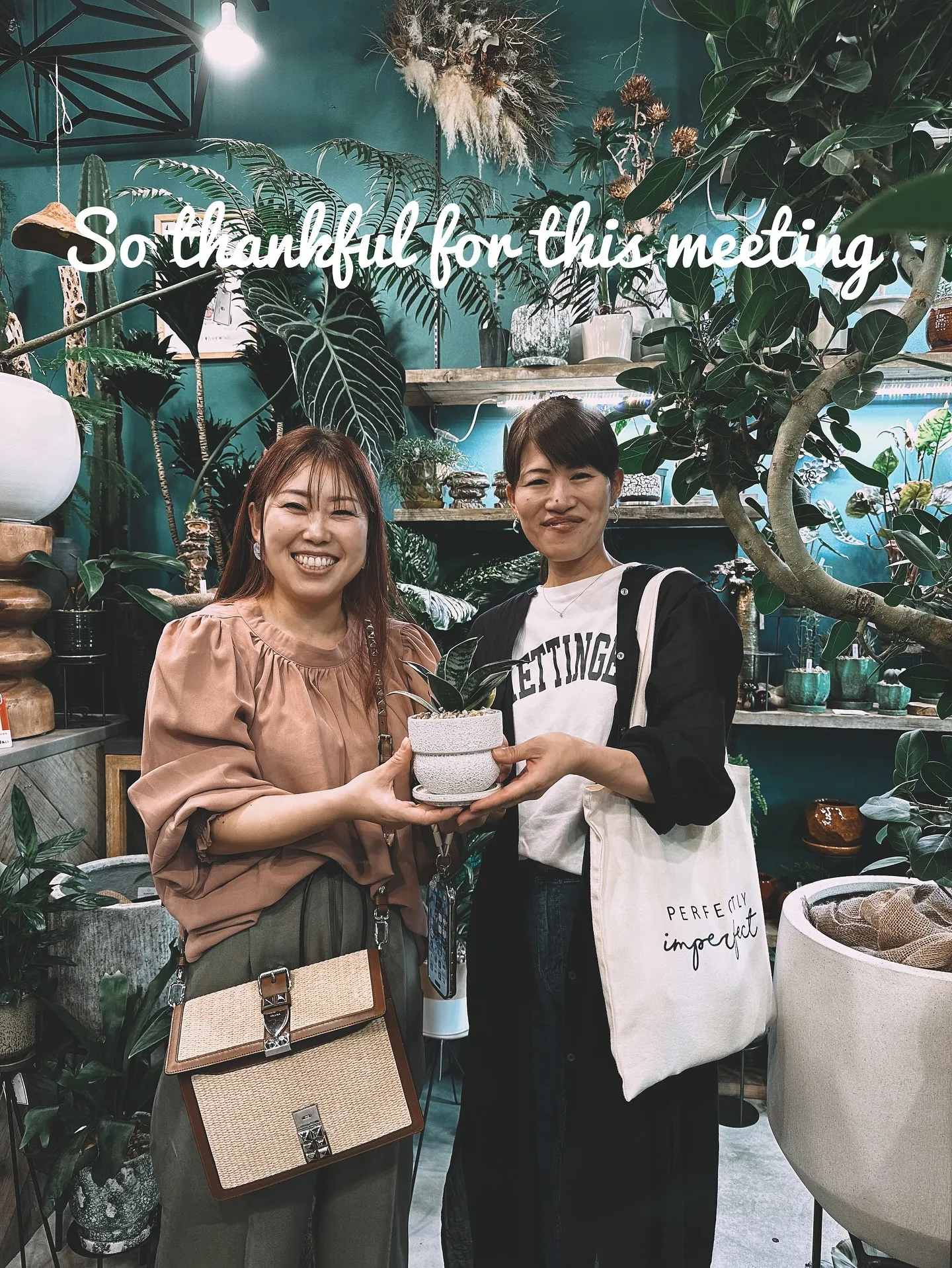 【植物専門店barrelplantsのおすすめ植物ラインナッ...
