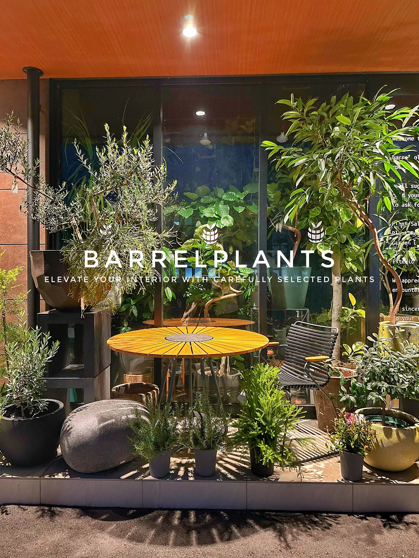 【こだわりの植物で、お部屋のインテリアをワンランク上にしませ...