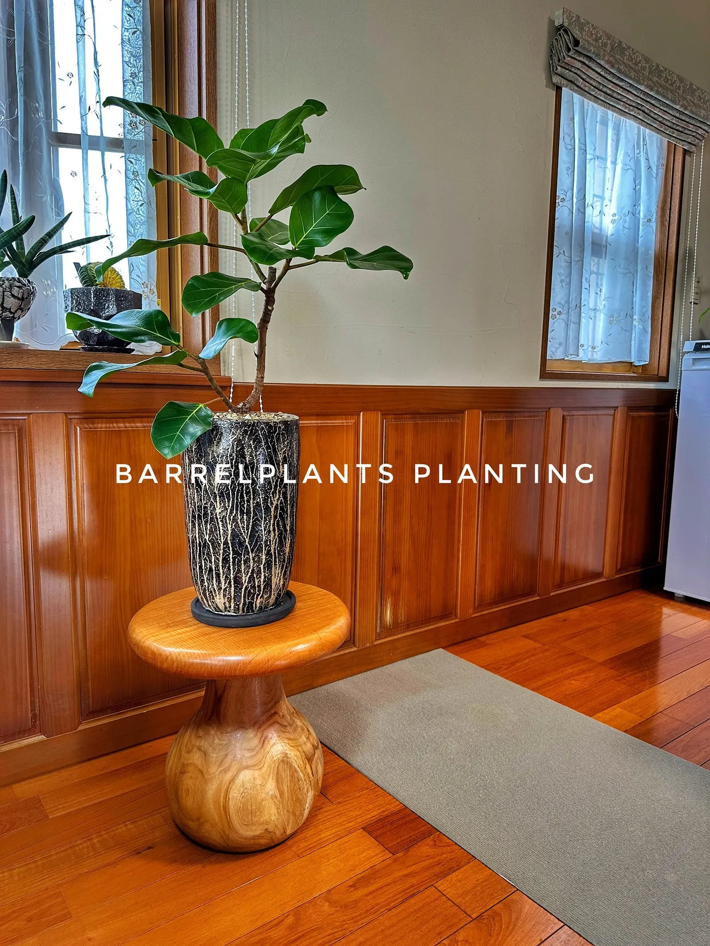 【こだわりの植物で、お部屋のインテリアをワンランク上にしませ...