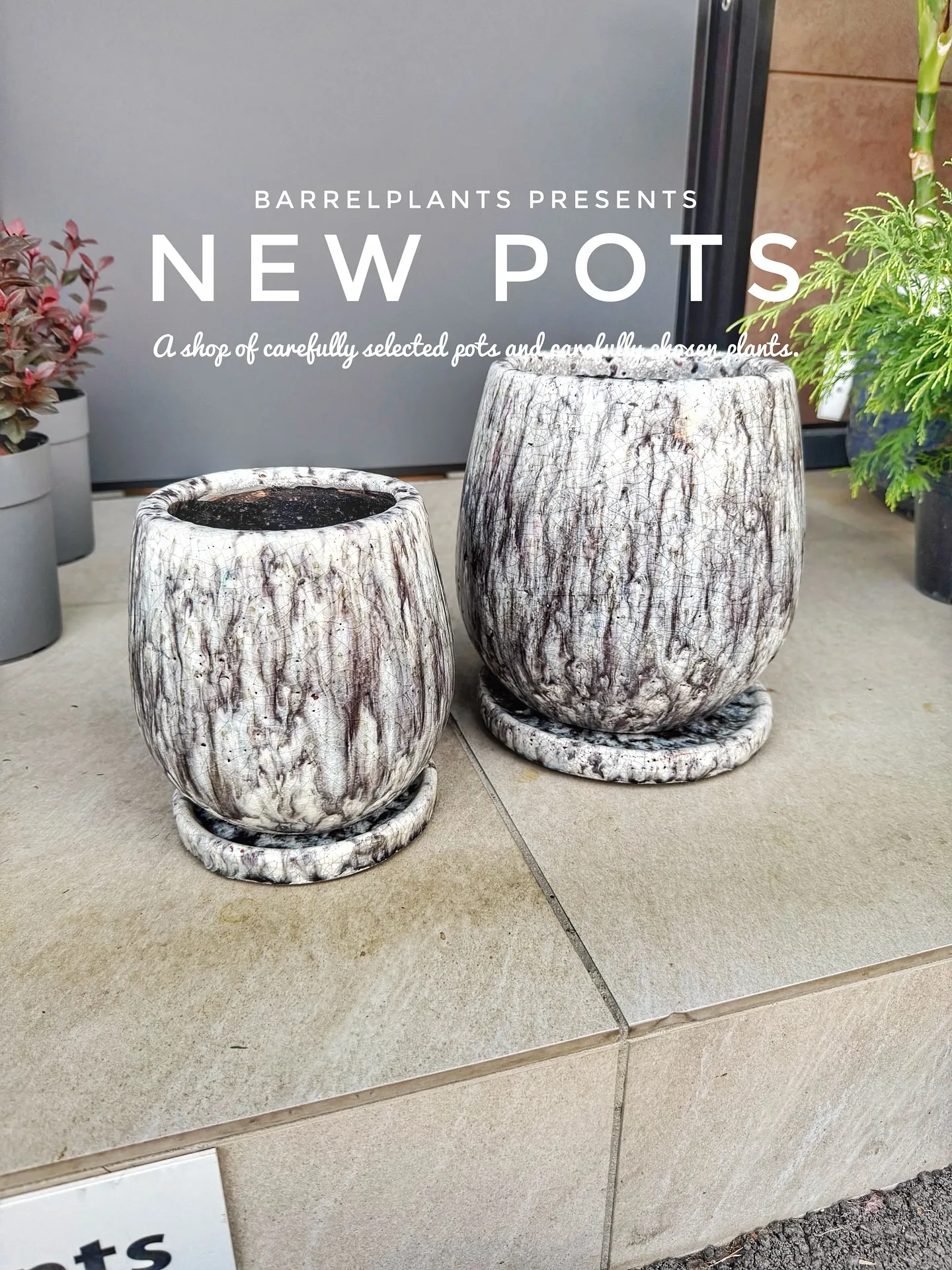 【先日のギフトショー注文分入荷！こだわりの鉢たちbarrel...