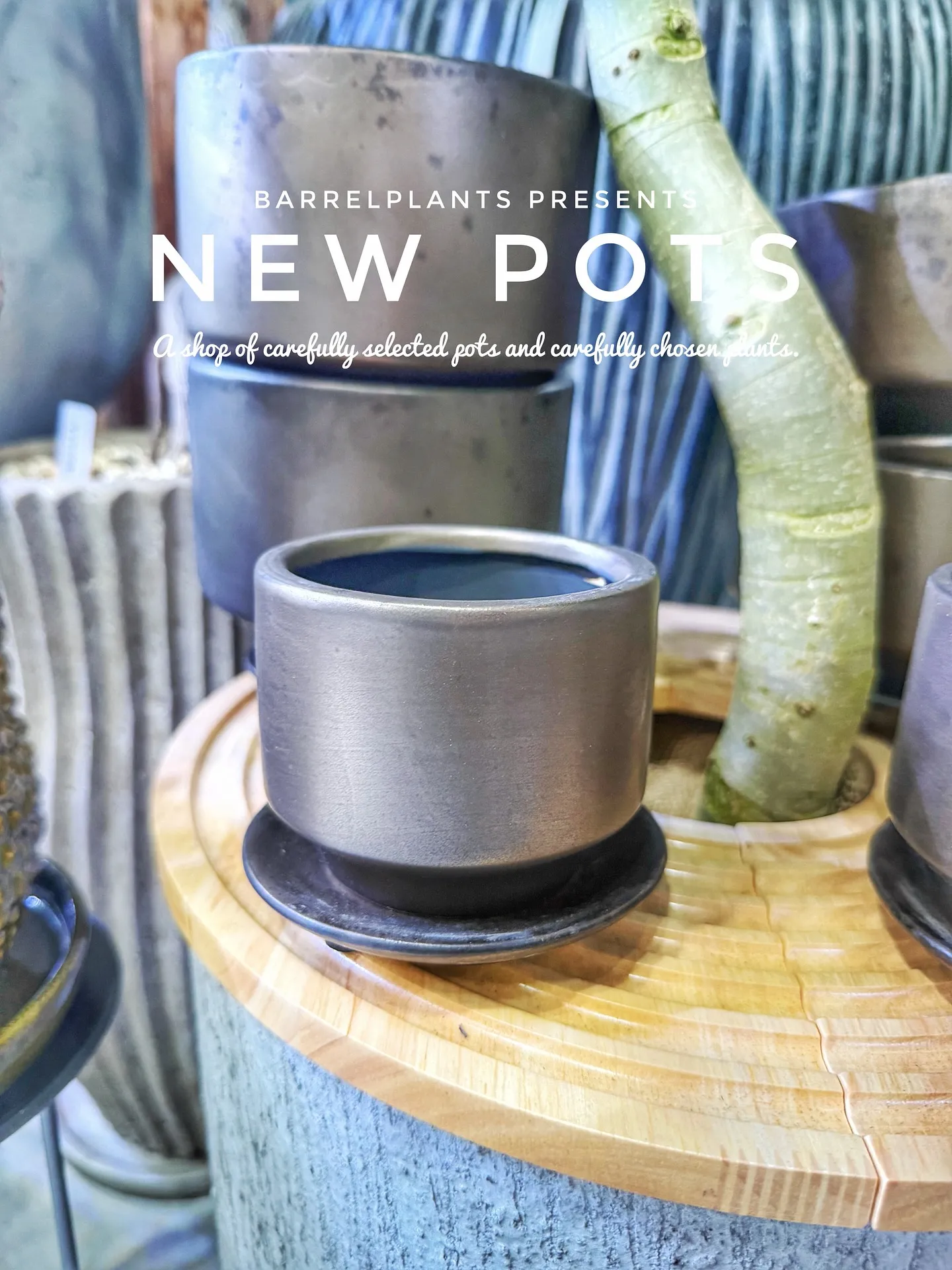 【先日のギフトショー注文分入荷！こだわりの鉢たちbarrel...