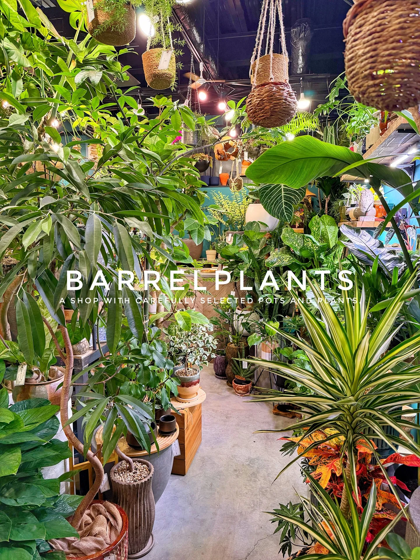 【こだわりの植物がたくさんある植物専門店、バーレルプランツ】