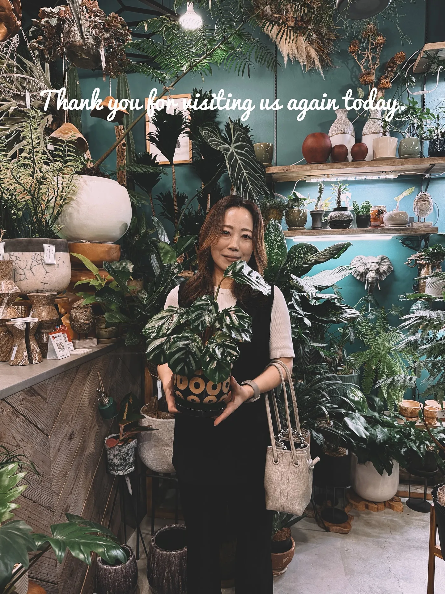 【こだわりの植物がたくさんある植物専門店、バーレルプランツ】