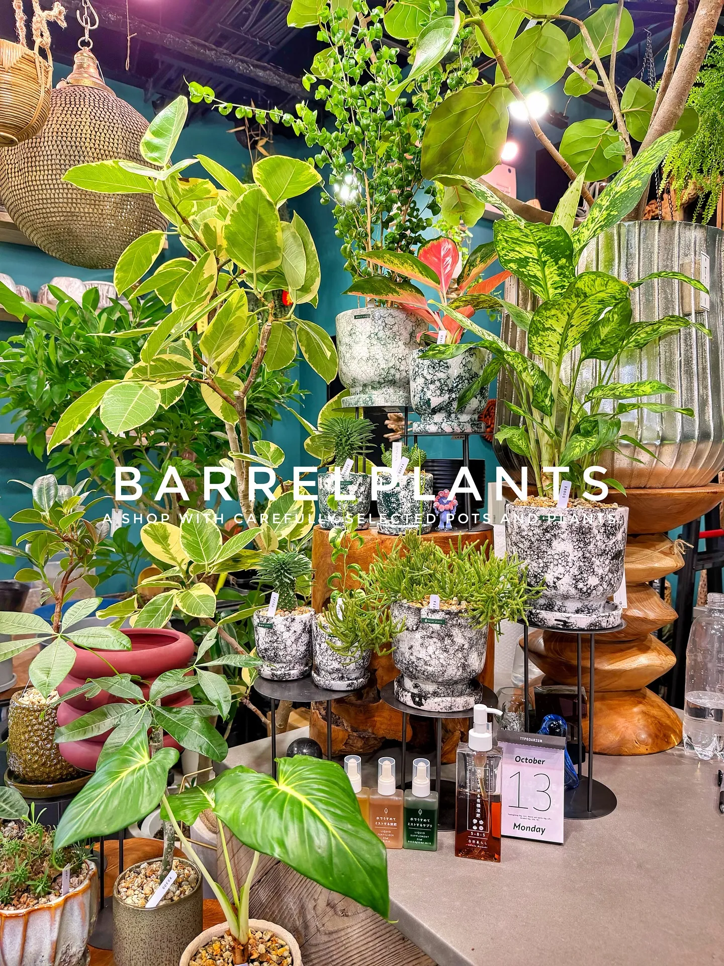 【こだわりの植物がたくさんある植物専門店、バーレルプランツ】