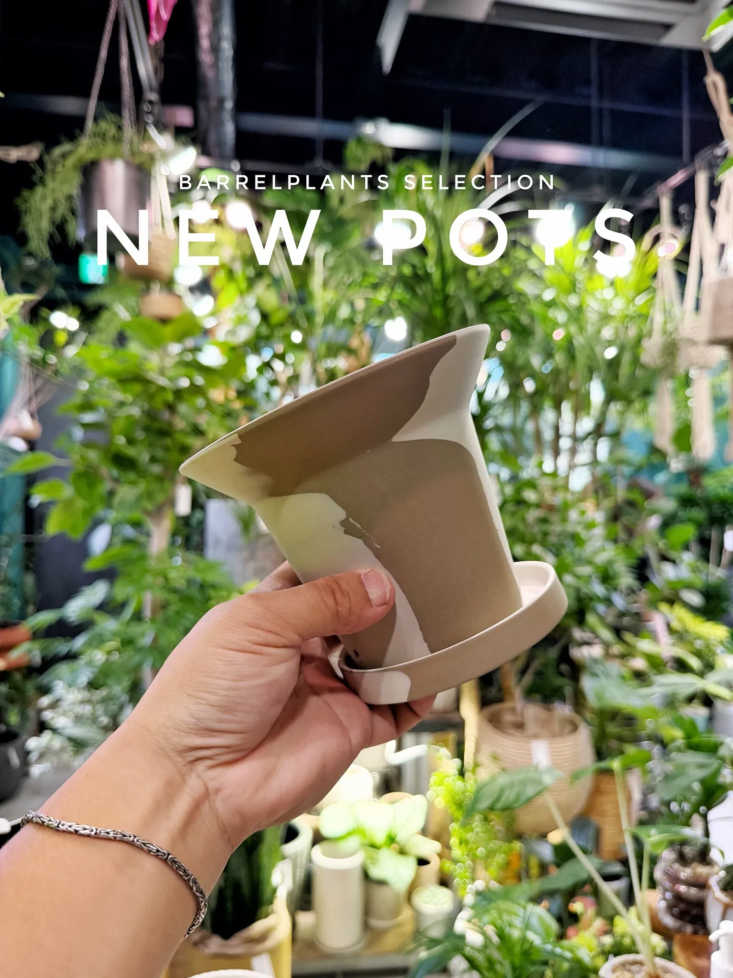 【こだわりの空間にこだわりの植物と鉢を置きませんか？？】