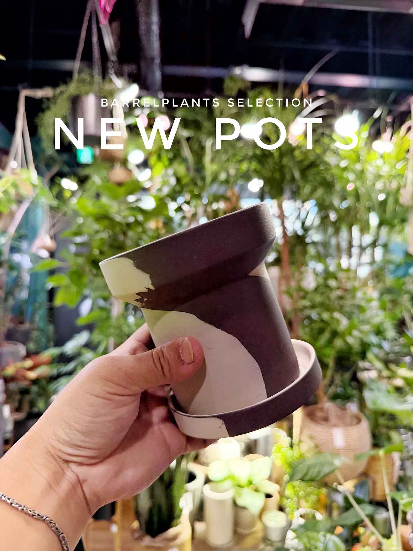 【こだわりの空間にこだわりの植物と鉢を置きませんか？？】