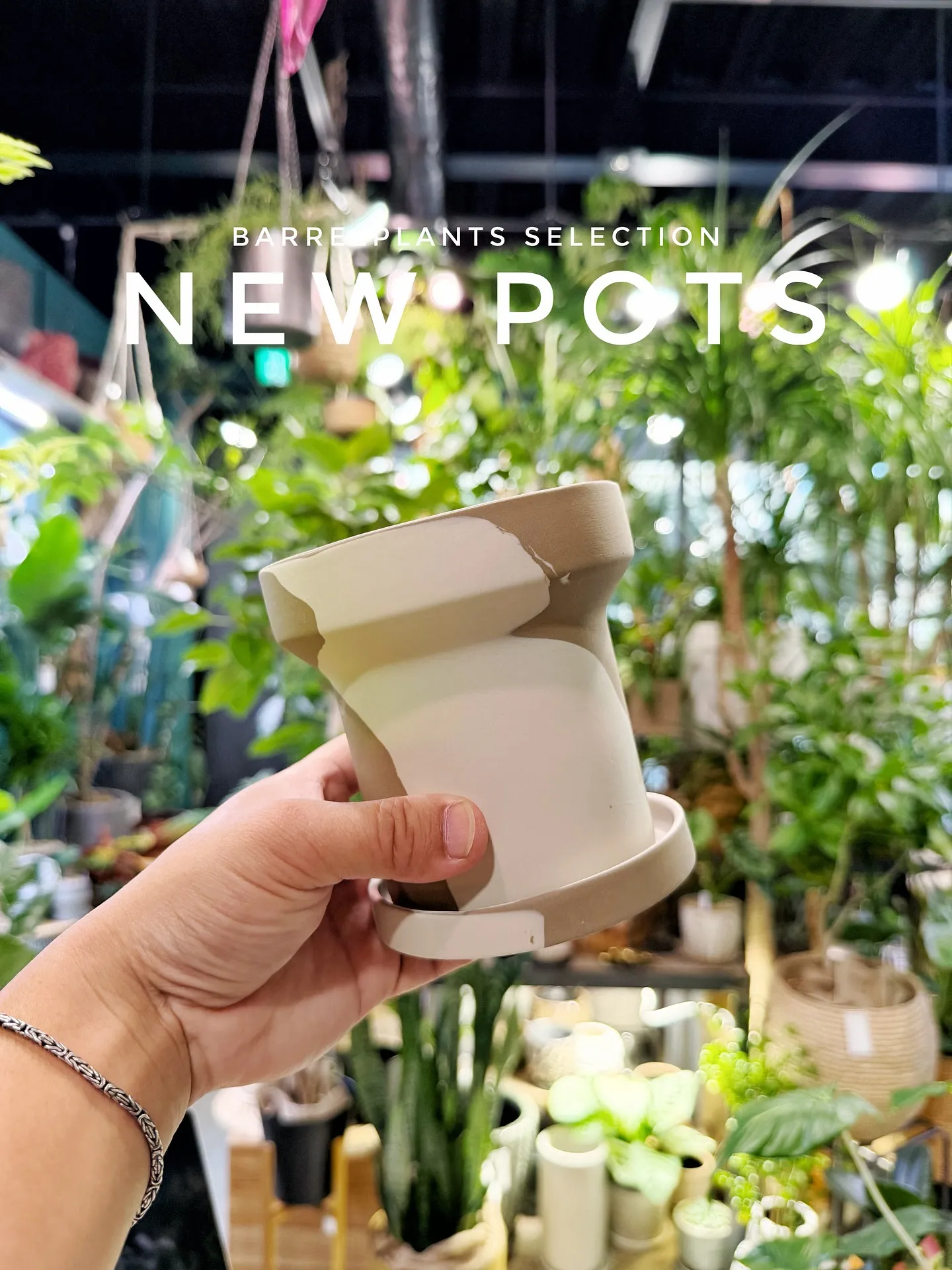 【こだわりの空間にこだわりの植物と鉢を置きませんか？？】