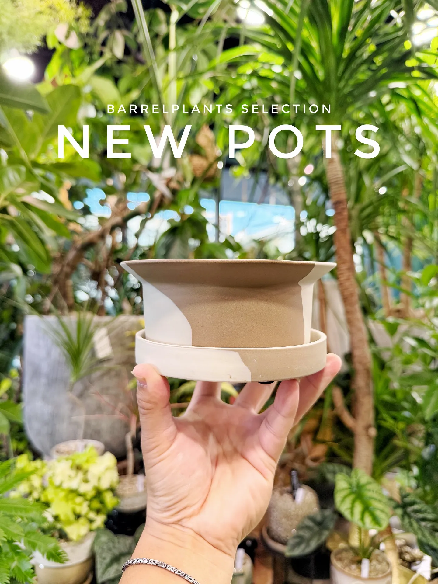 【こだわりの空間にこだわりの植物と鉢を置きませんか？？】