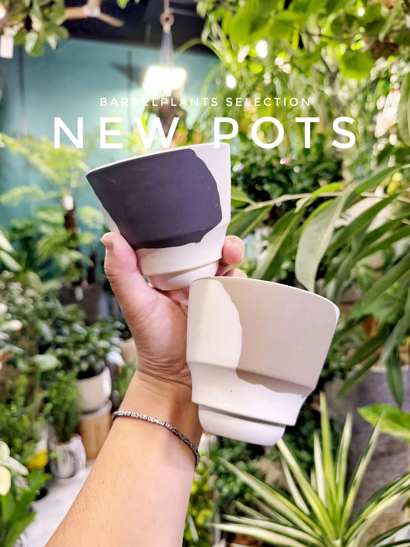 【こだわりの空間にこだわりの植物と鉢を置きませんか？？】