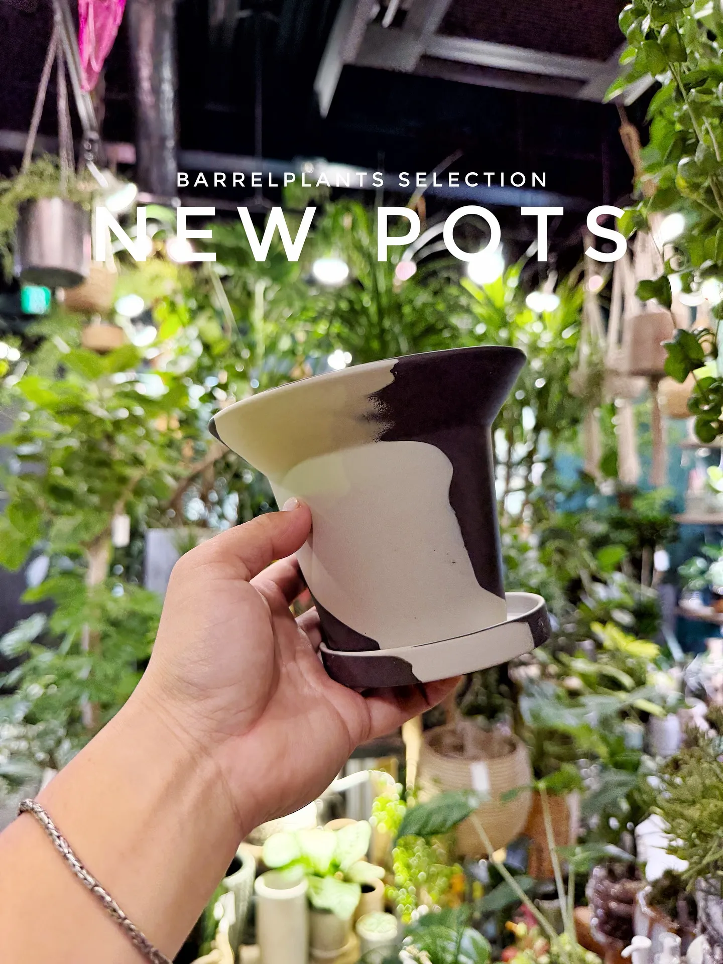 【こだわりの空間にこだわりの植物と鉢を置きませんか？？】