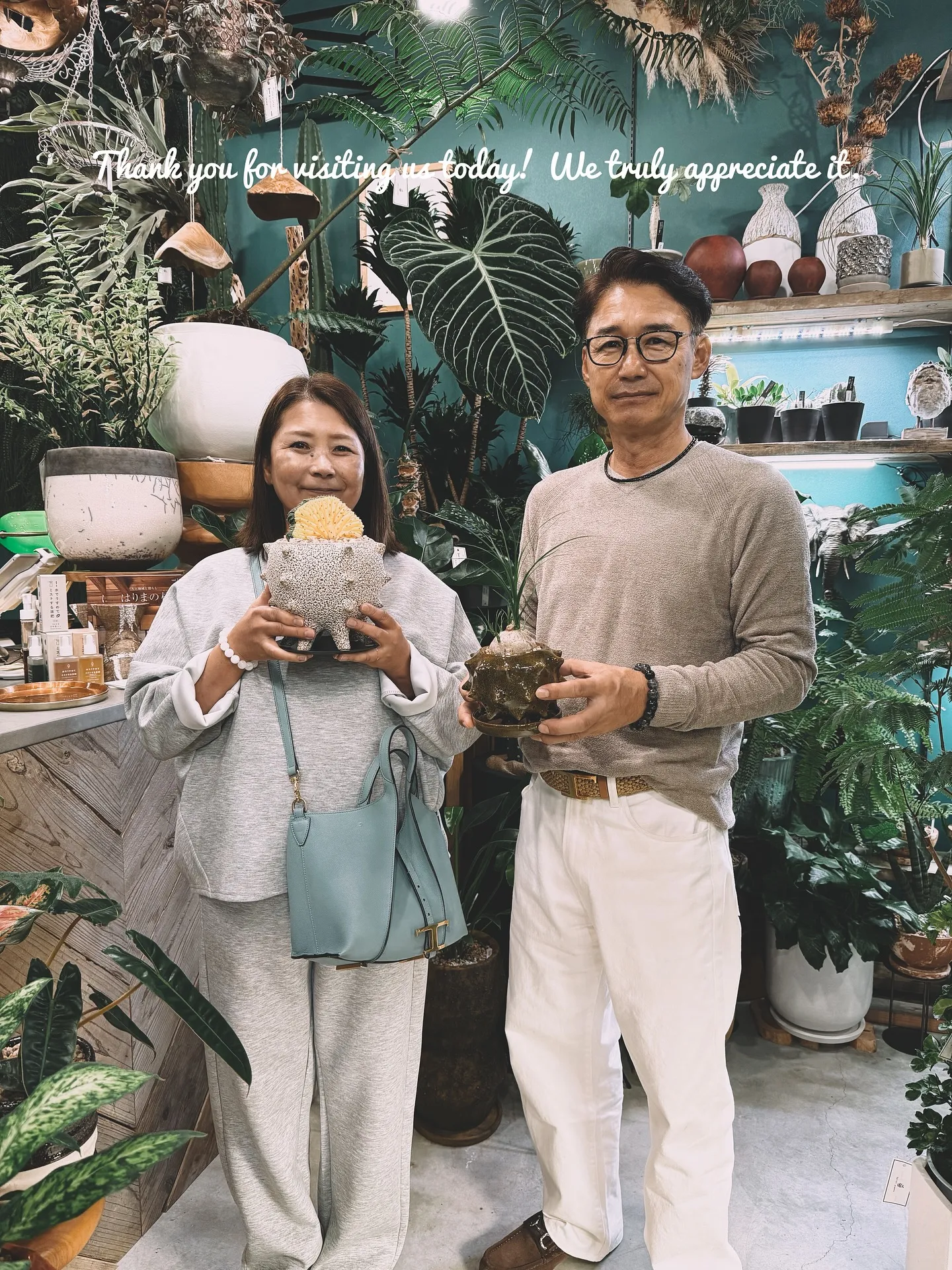 【柔らかい葉が魅力的！フィカスウンベラータをお部屋にコーディ...