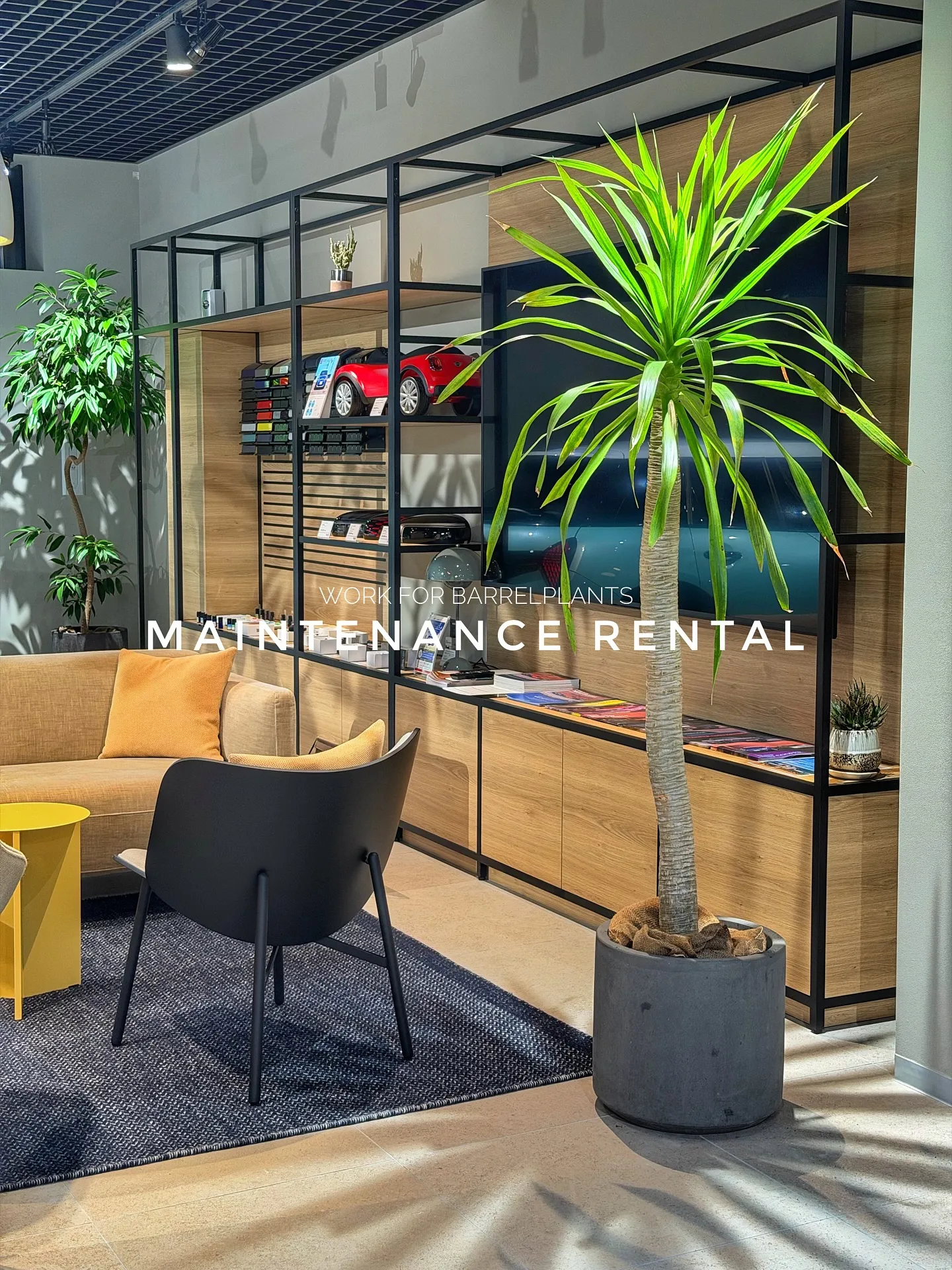 【管理ができない方におすすめ！barrelplantsのメン...