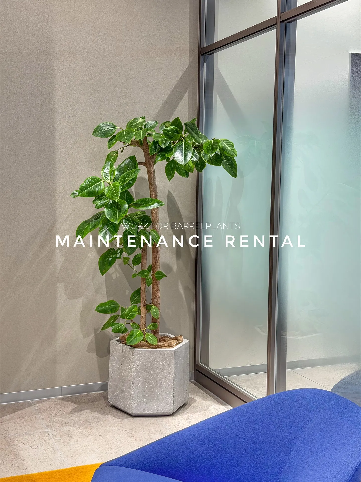 【管理ができない方におすすめ!barrelplantsのメン...