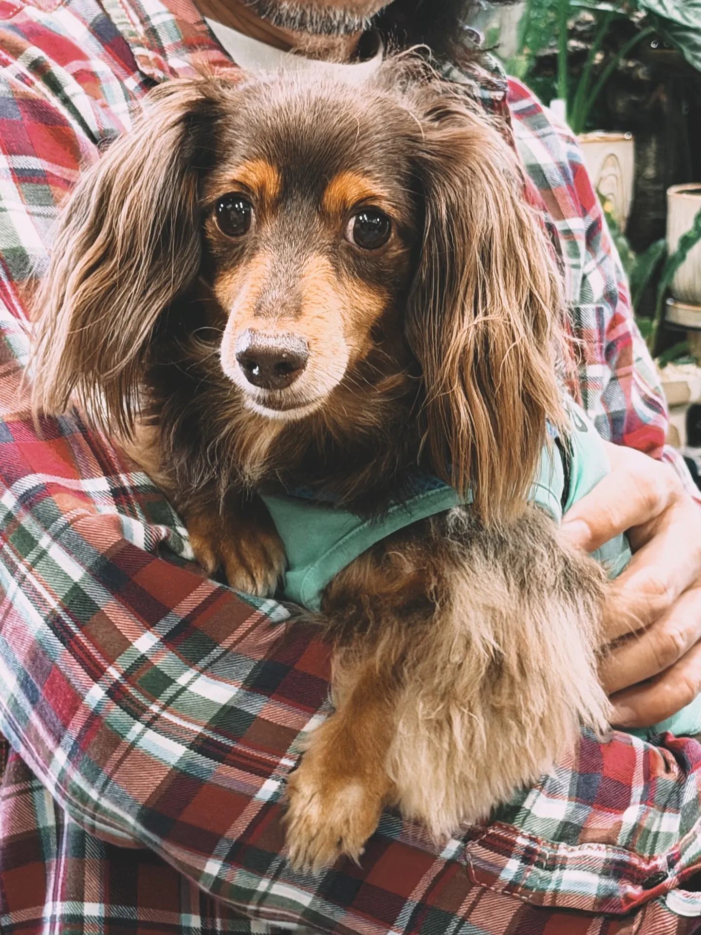 【管理ができない方におすすめ!barrelplantsのメン...