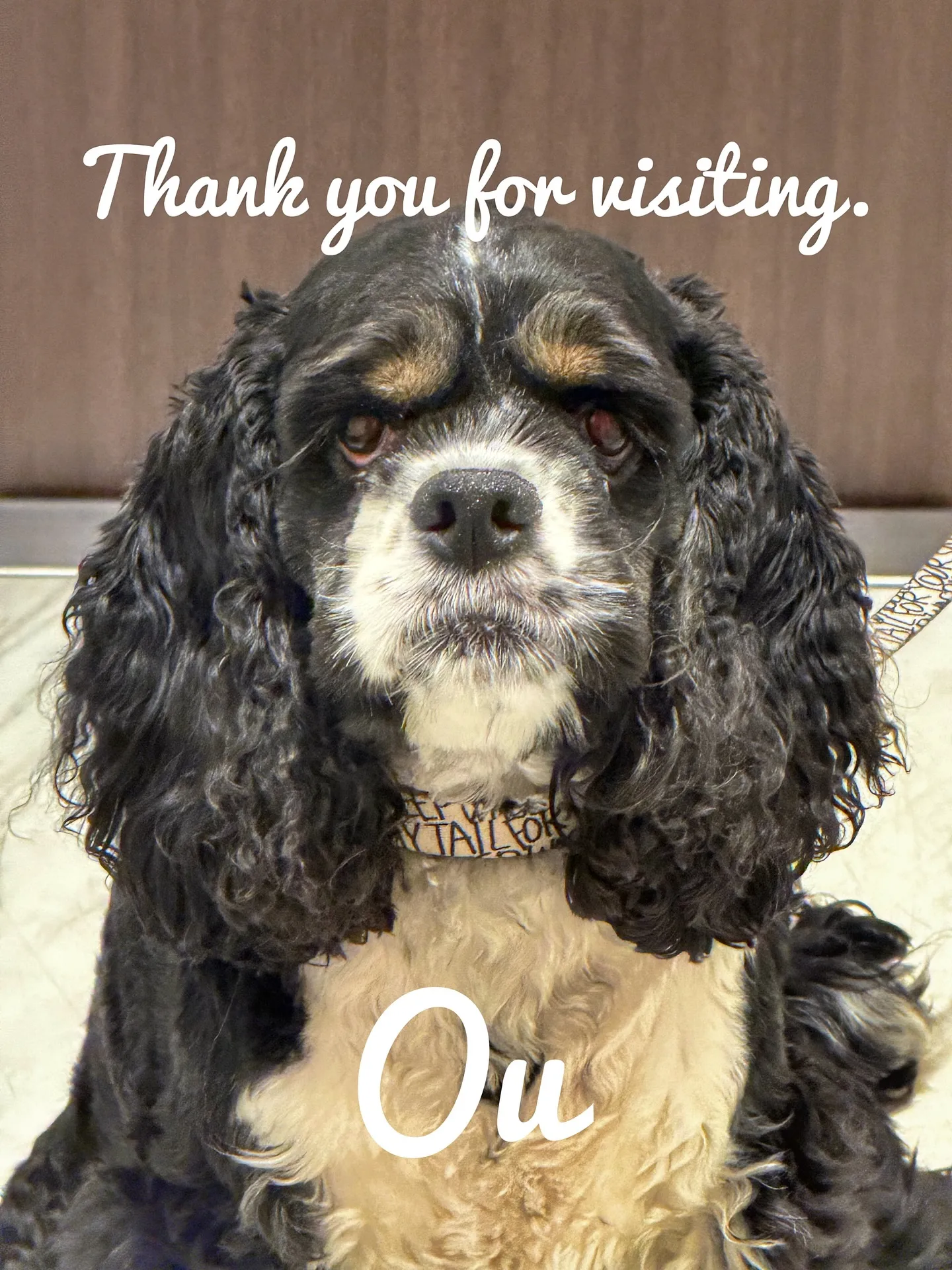 【管理ができない方におすすめ!barrelplantsのメン...