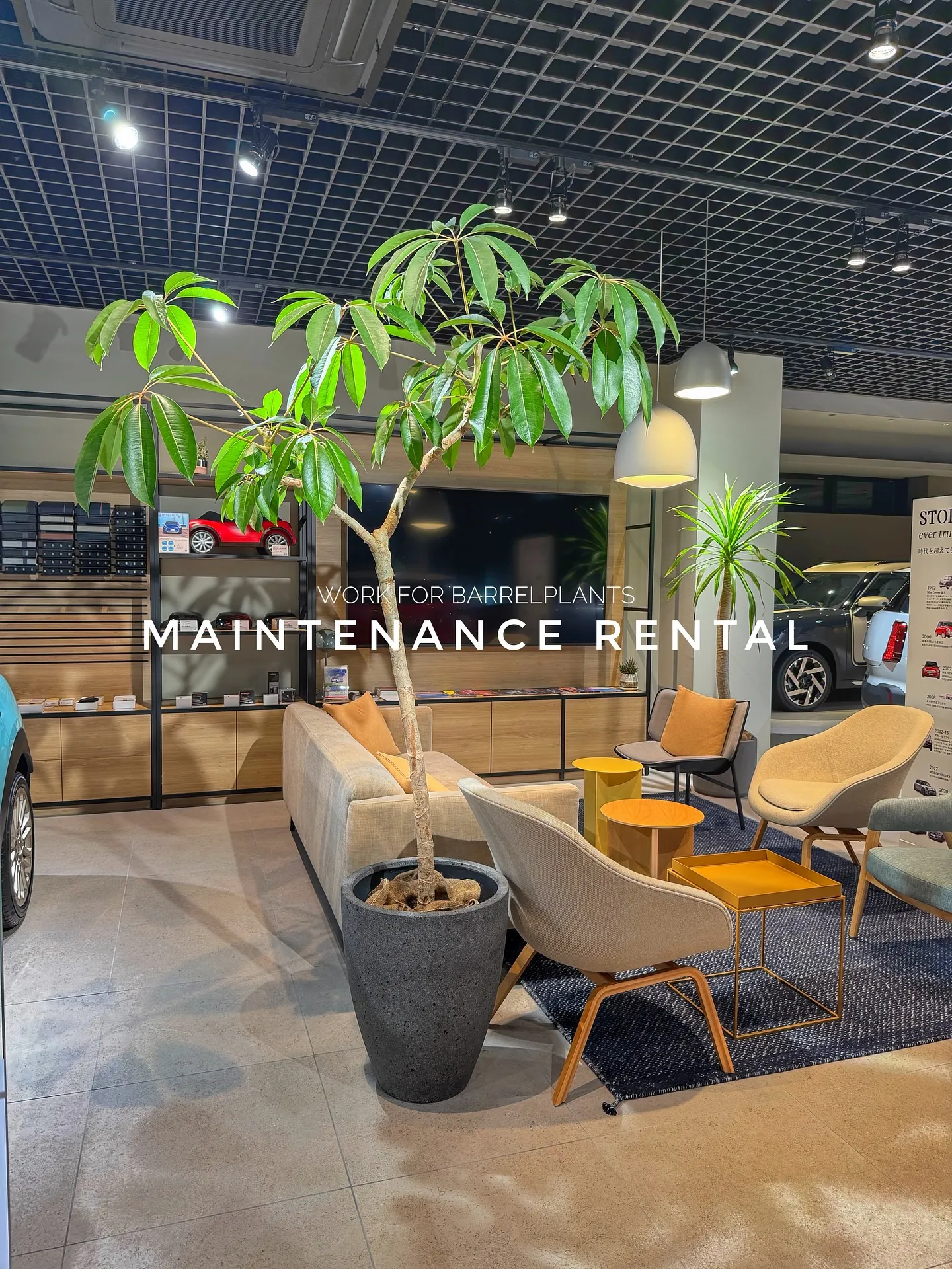 【管理ができない方におすすめ!barrelplantsのメン...