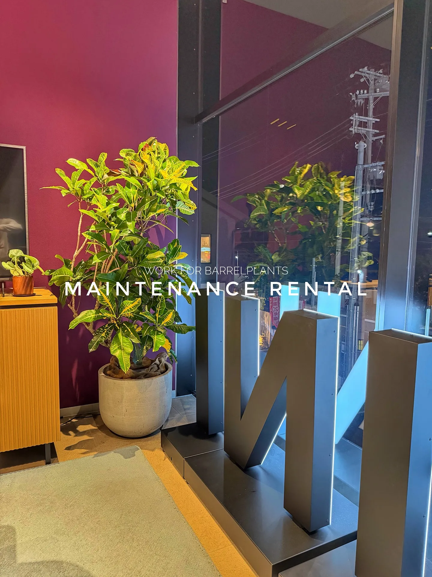 【管理ができない方におすすめ!barrelplantsのメン...