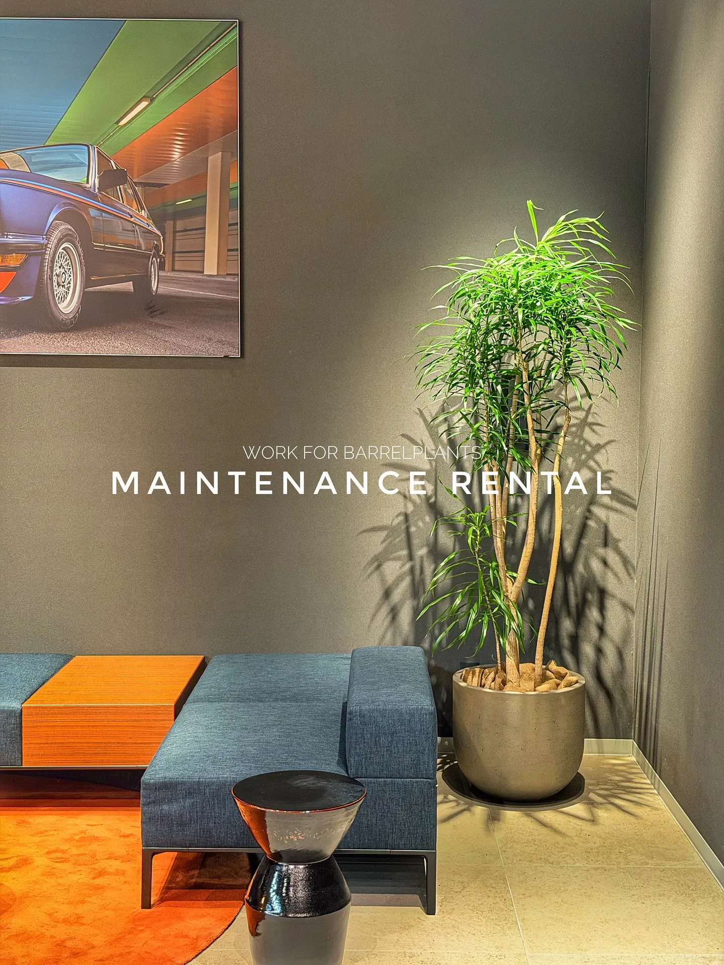 【管理ができない方におすすめ!barrelplantsのメン...