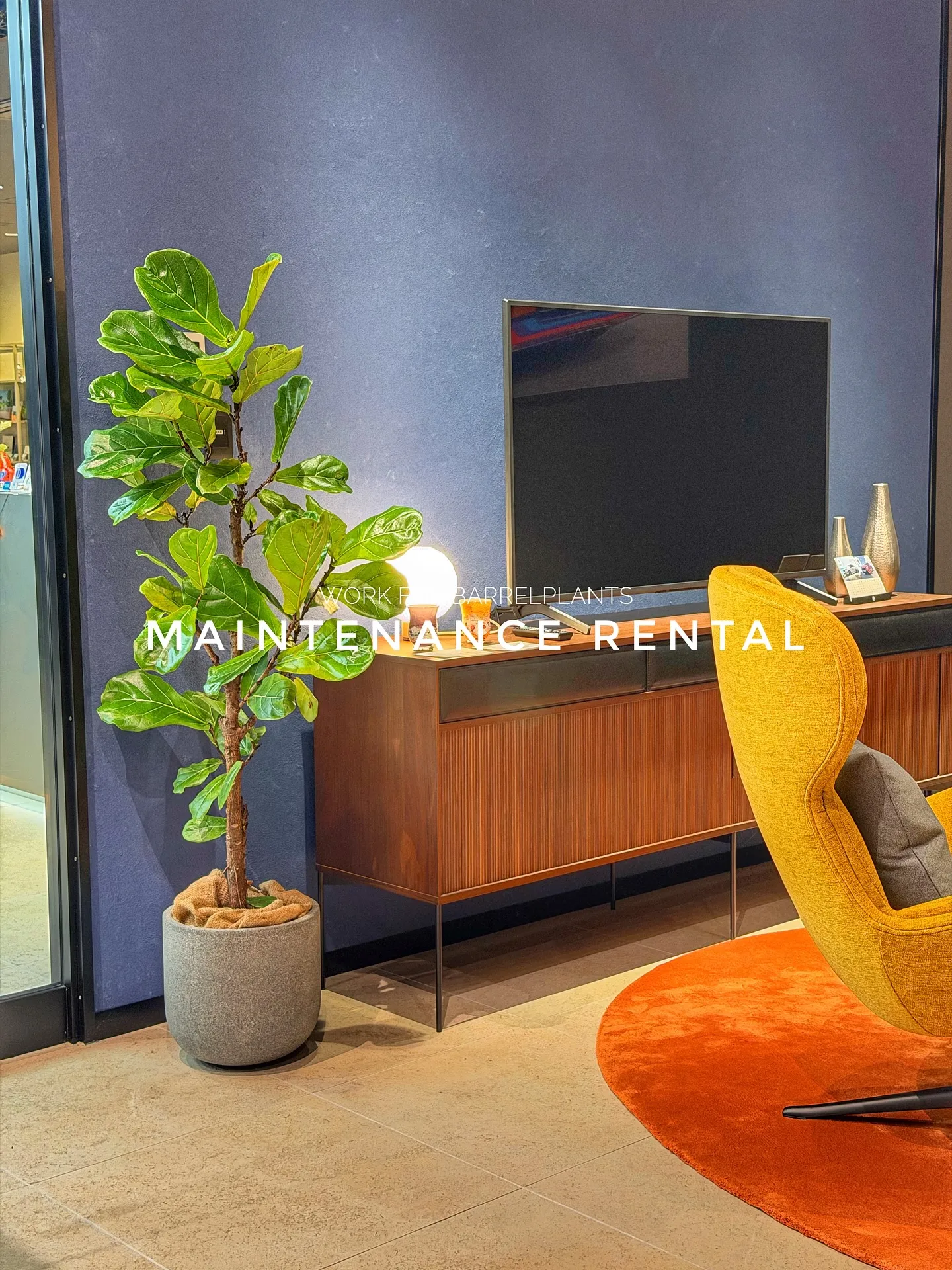 【管理ができない方におすすめ!barrelplantsのメン...