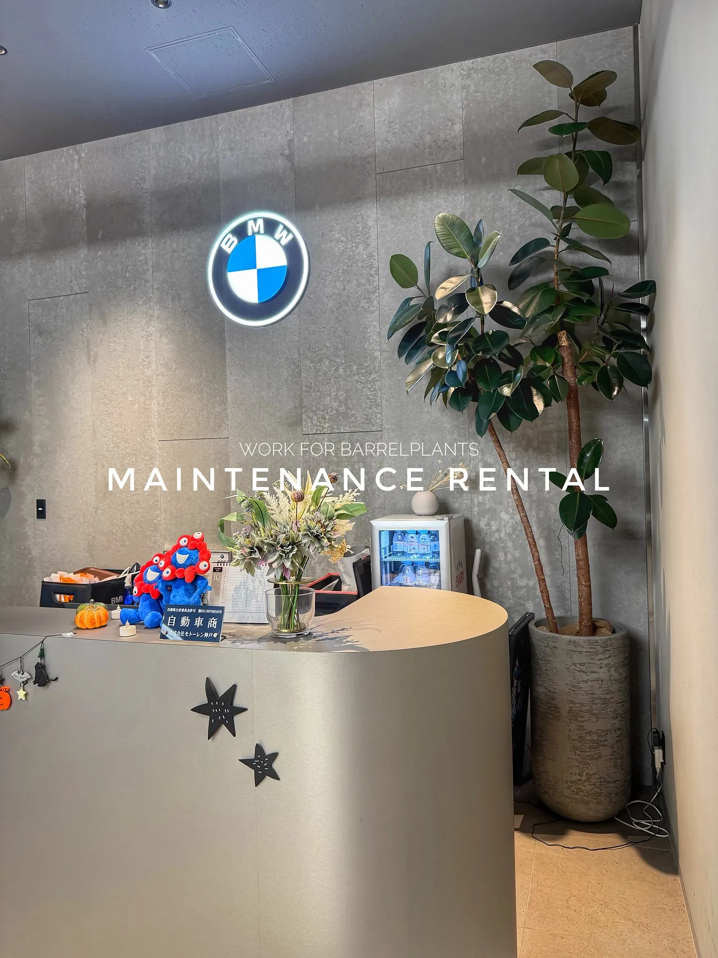 【管理ができない方におすすめ!barrelplantsのメン...