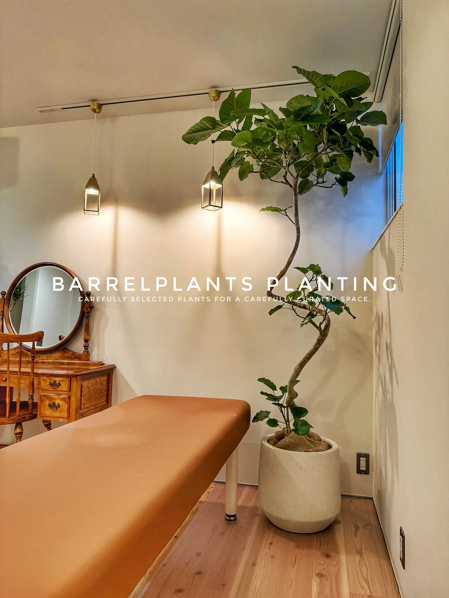 【こだわりの空間にこだわりの植物を置きませんか？？barre...