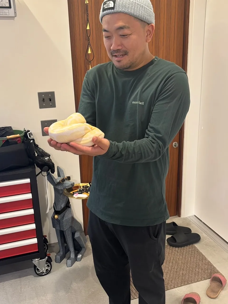 【こだわりの空間にこだわりの植物を置きませんか？？barre...