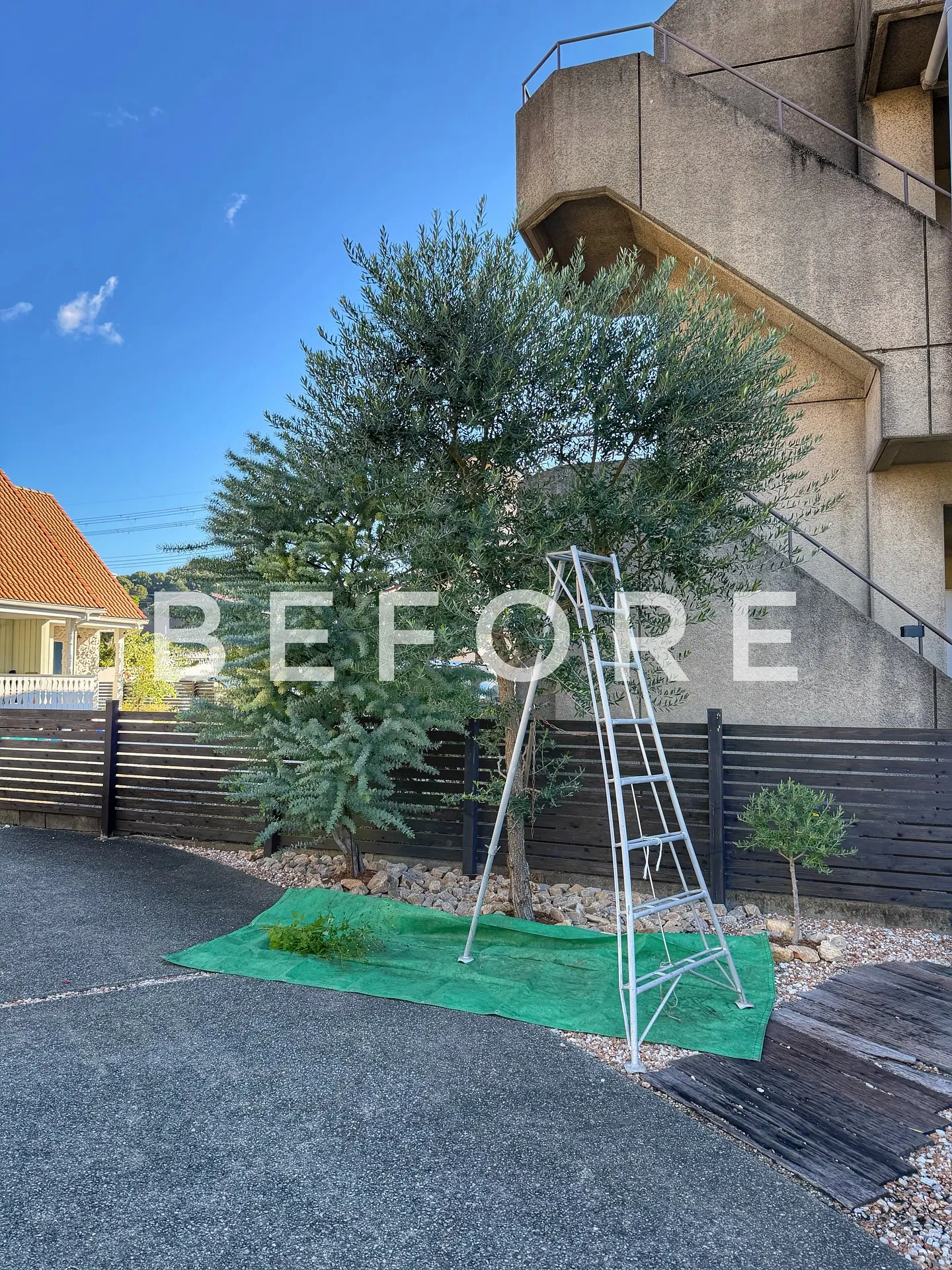 【こだわりの空間にこだわりの植物を置きませんか？？barre...