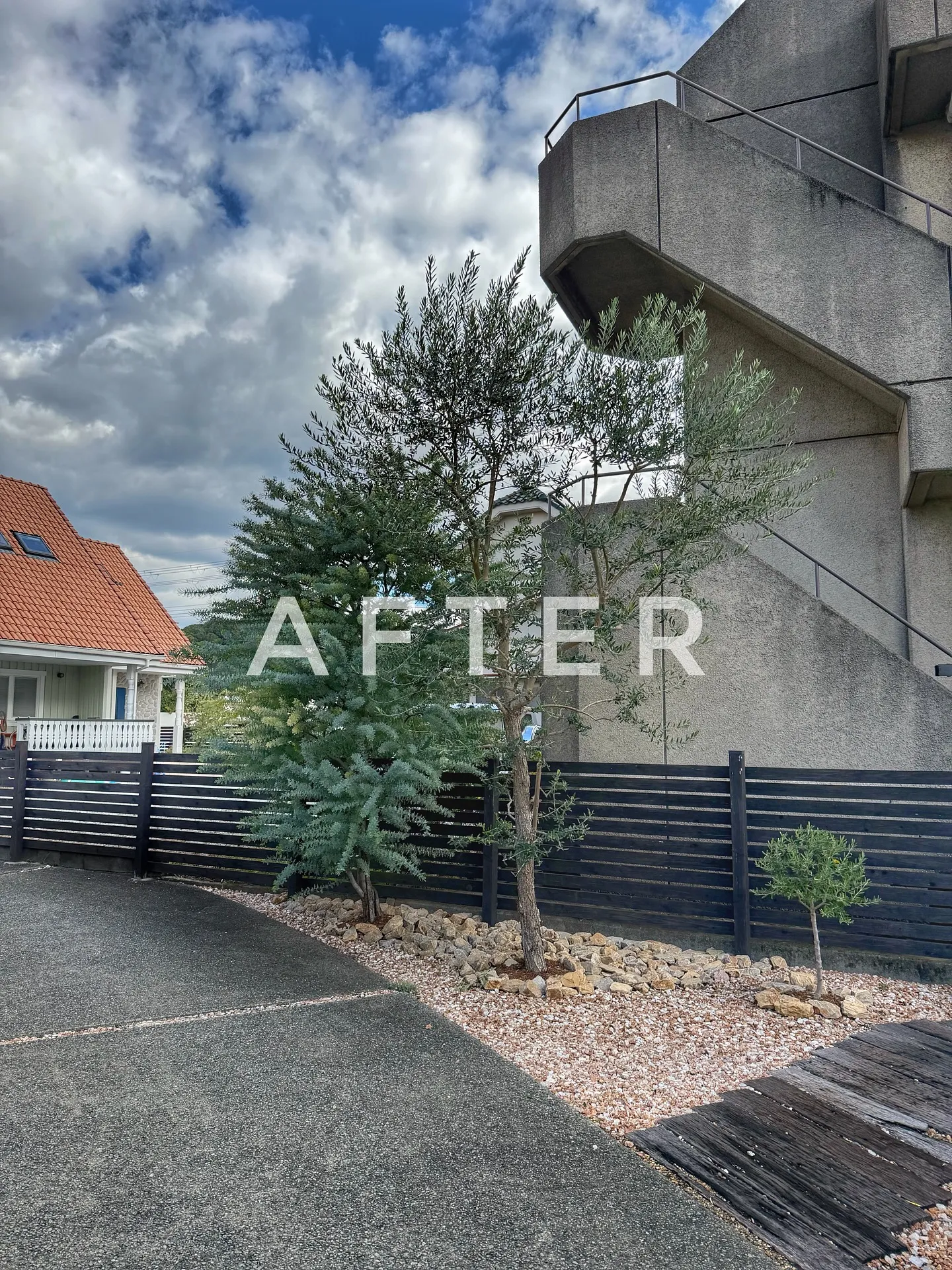 【こだわりの空間にこだわりの植物を置きませんか？？barre...