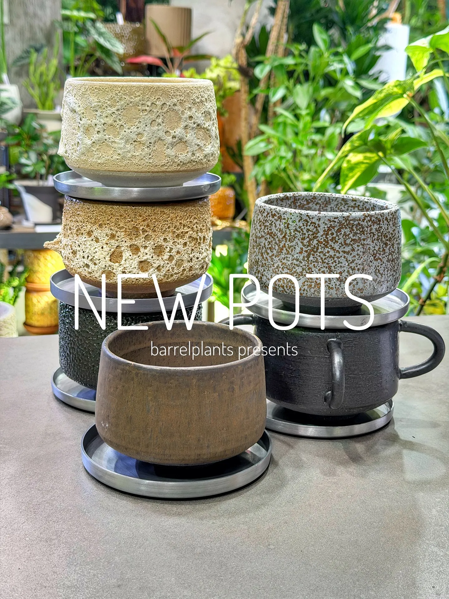 【植物専門店barrelplantsのオススメする鉢達入荷‼...