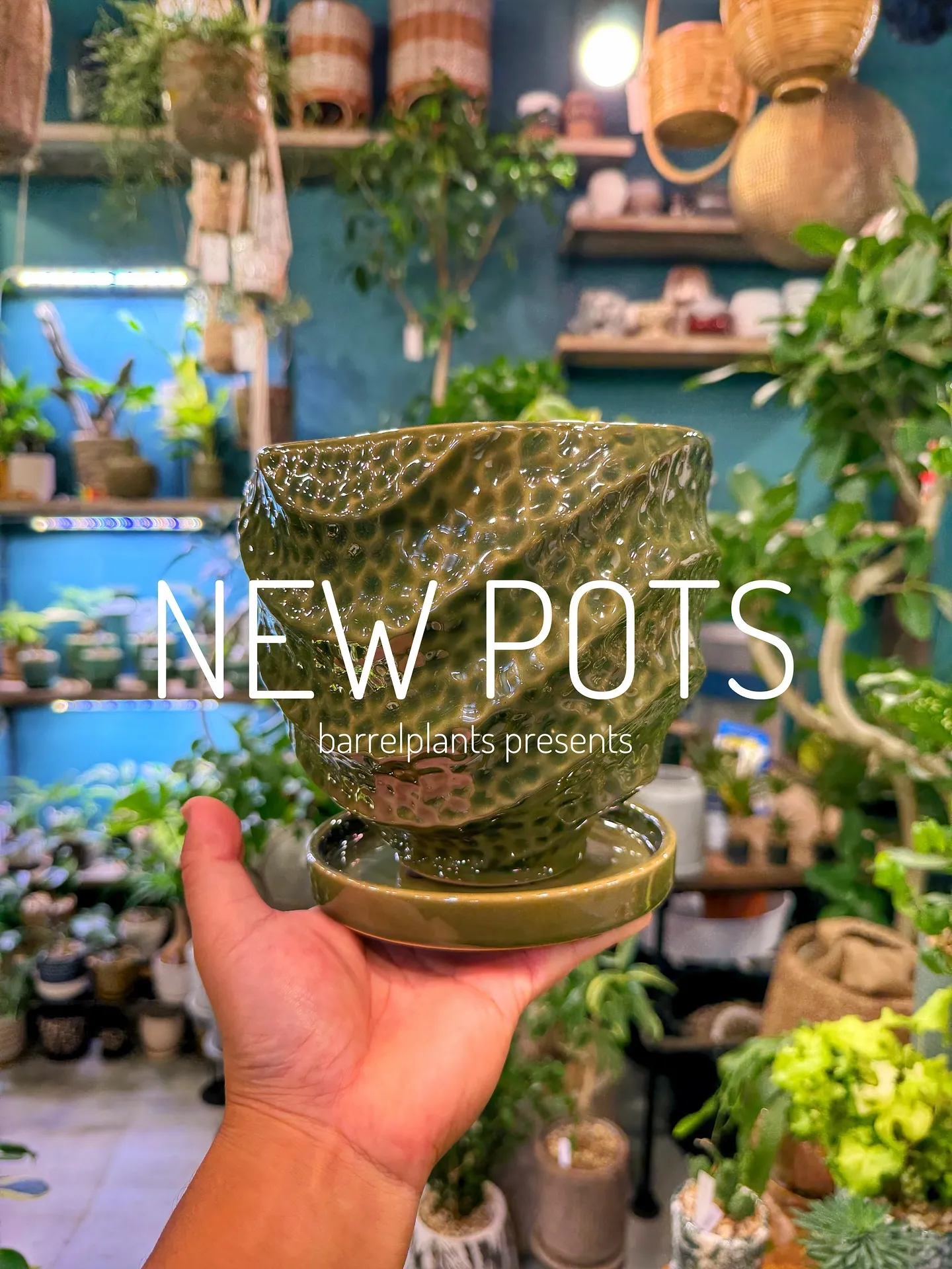 【植物専門店barrelplantsのオススメする鉢達入荷‼...