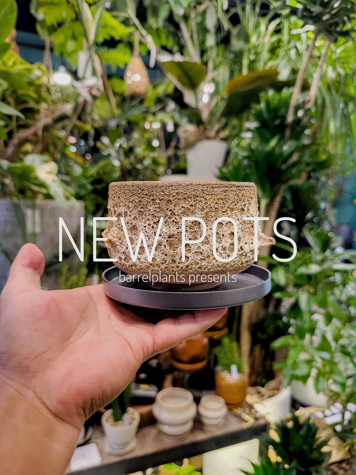 【植物専門店barrelplantsのオススメする鉢達入荷‼...