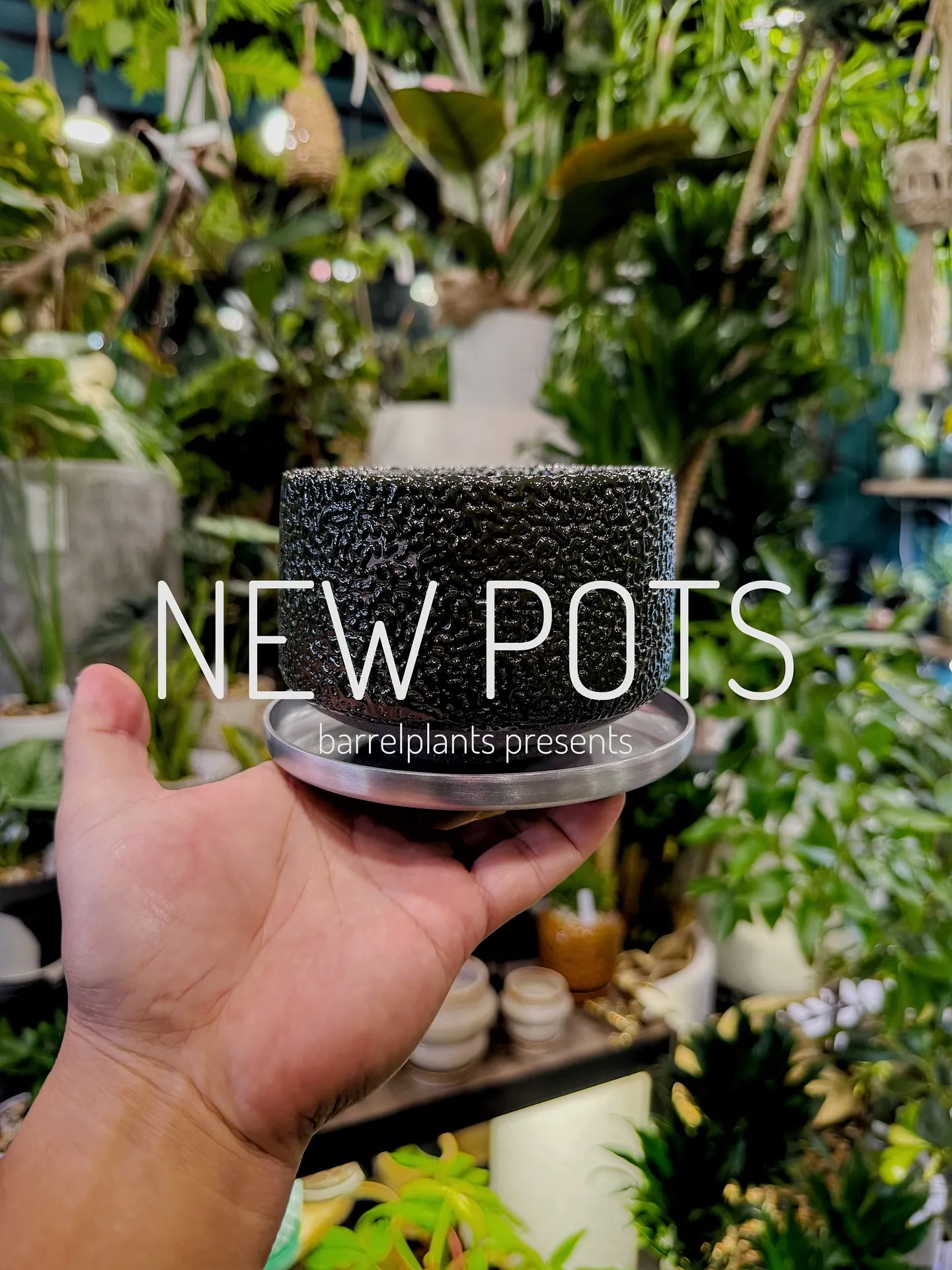 【植物専門店barrelplantsのオススメする鉢達入荷‼...