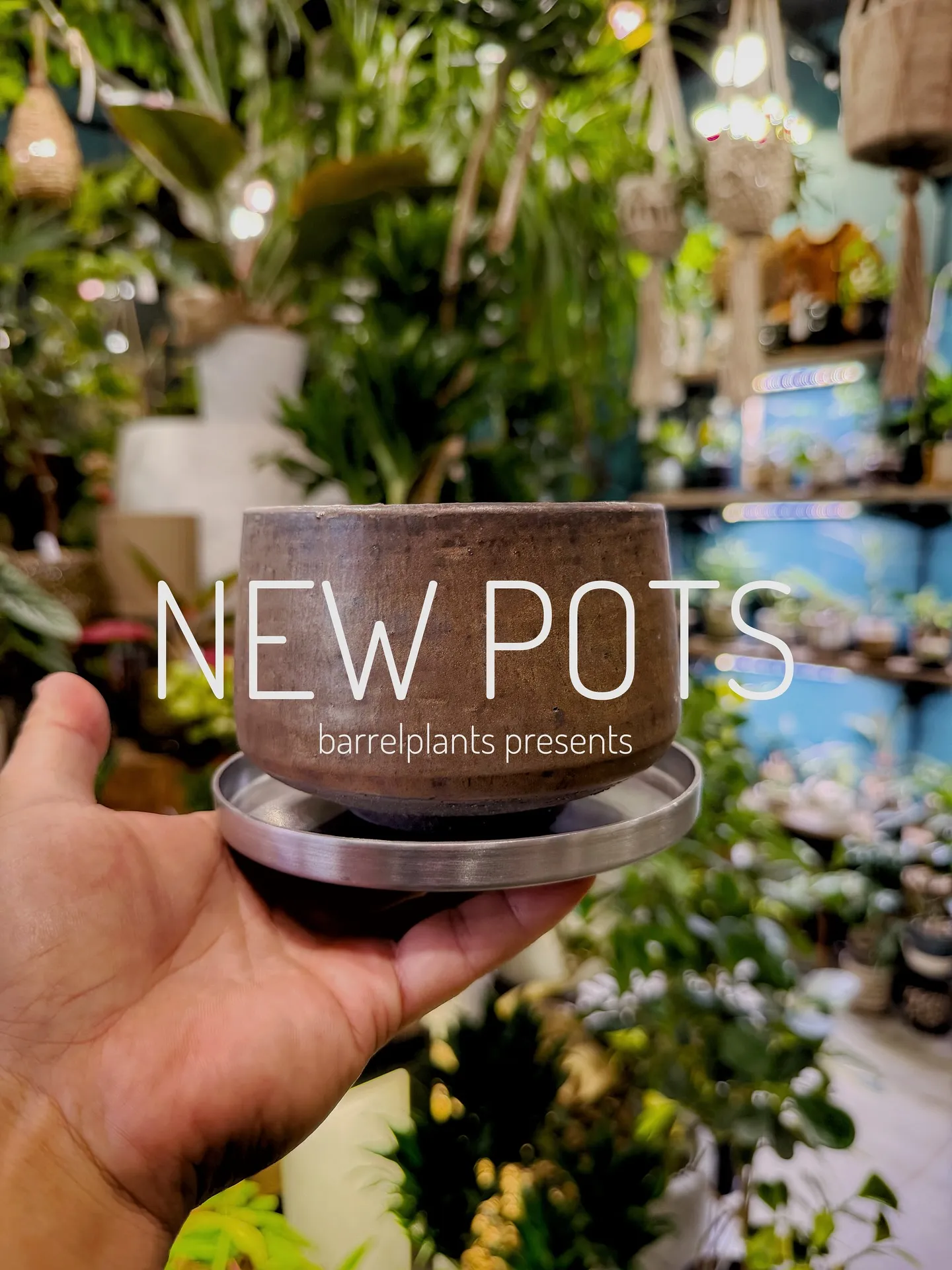 【植物専門店barrelplantsのオススメする鉢達入荷‼...