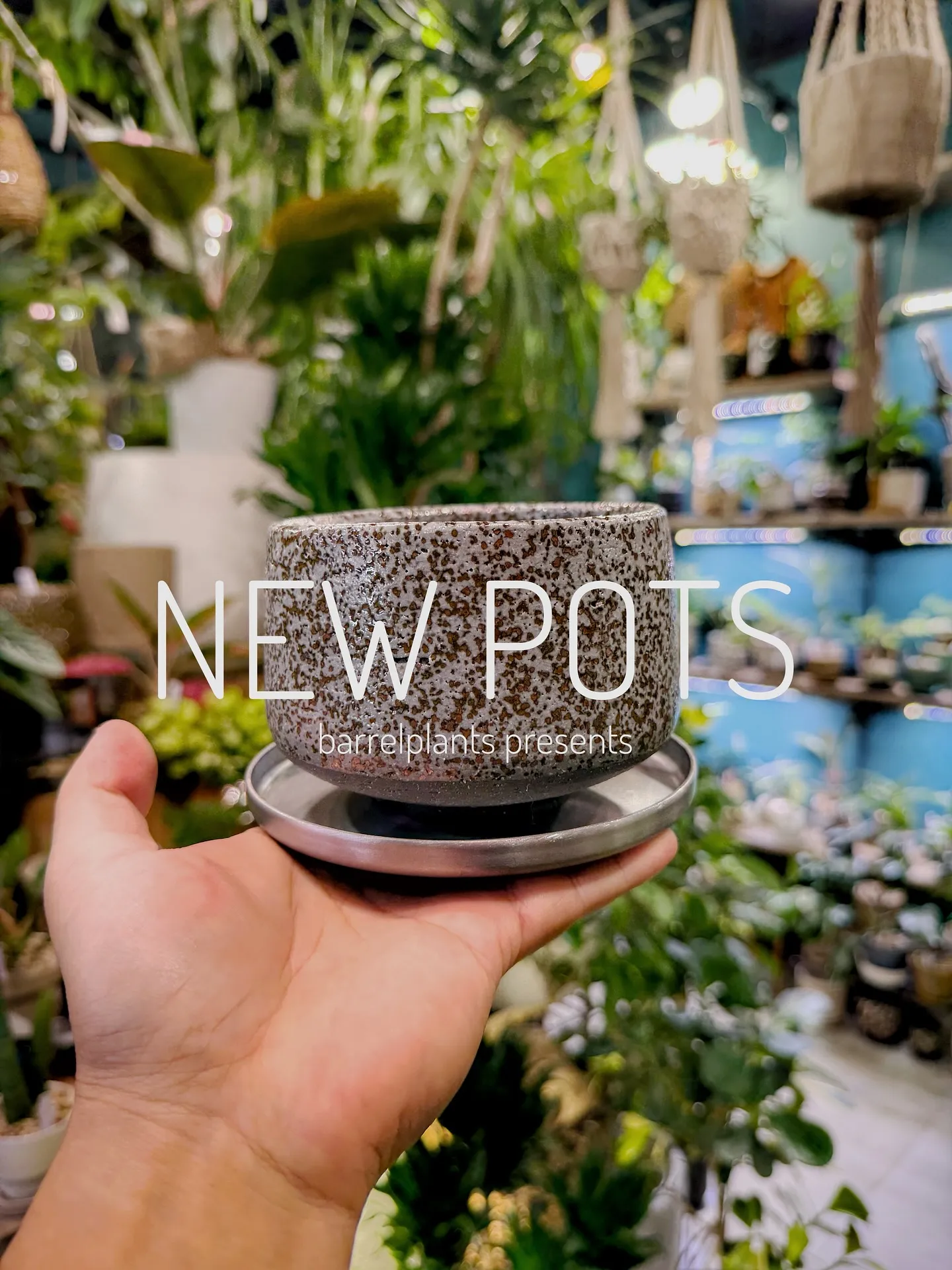 【植物専門店barrelplantsのオススメする鉢達入荷‼...