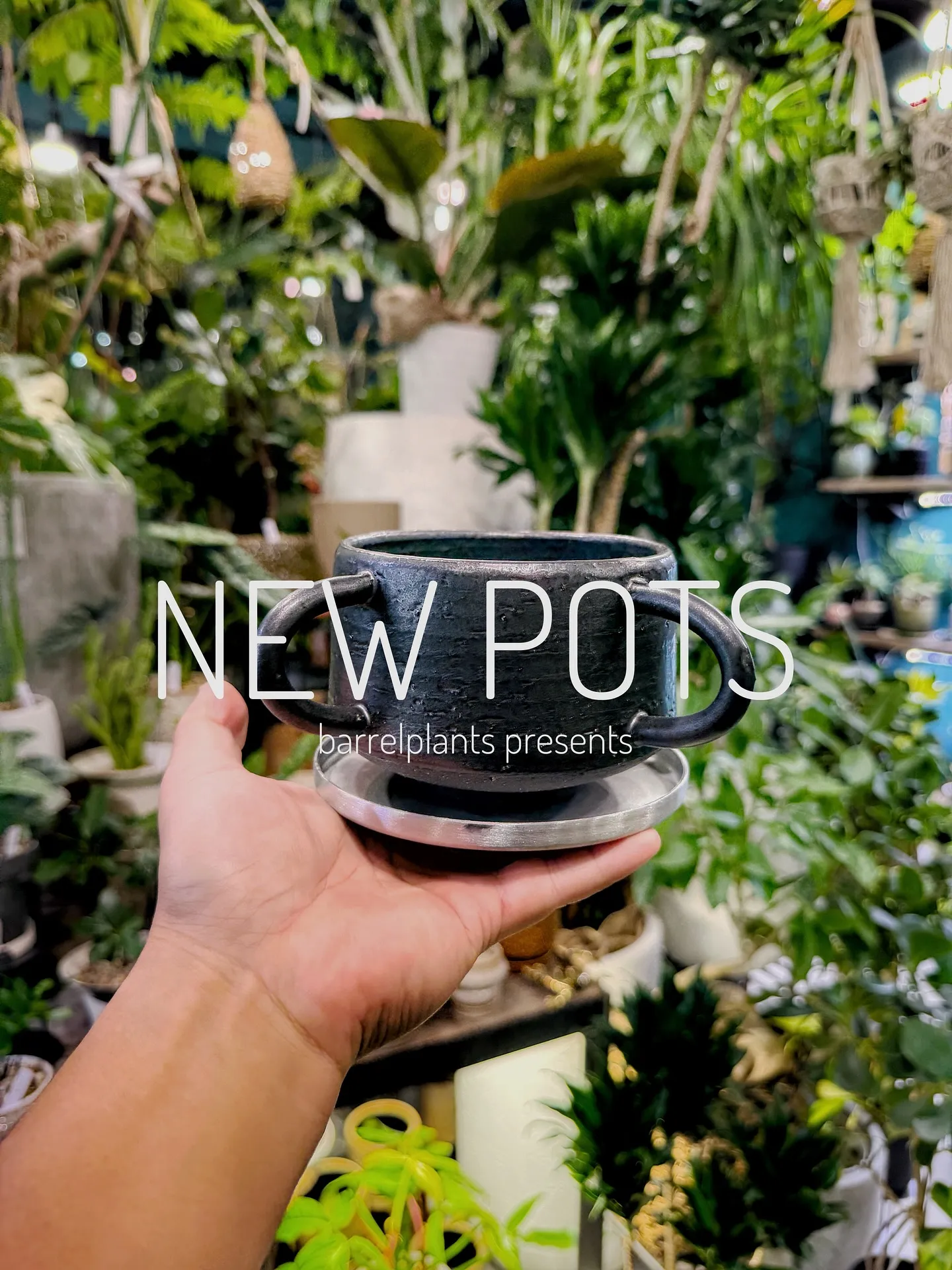 【植物専門店barrelplantsのオススメする鉢達入荷‼...