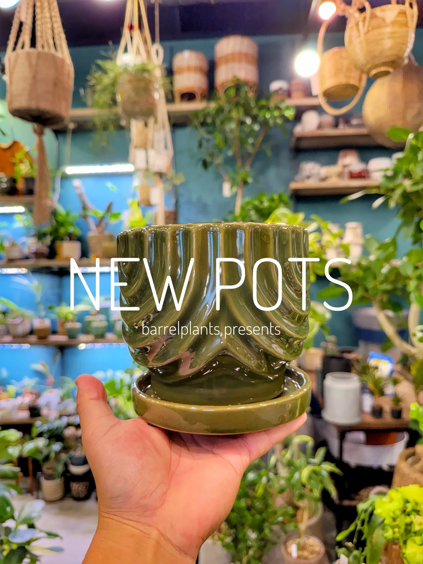 【植物専門店barrelplantsのオススメする鉢達入荷‼...