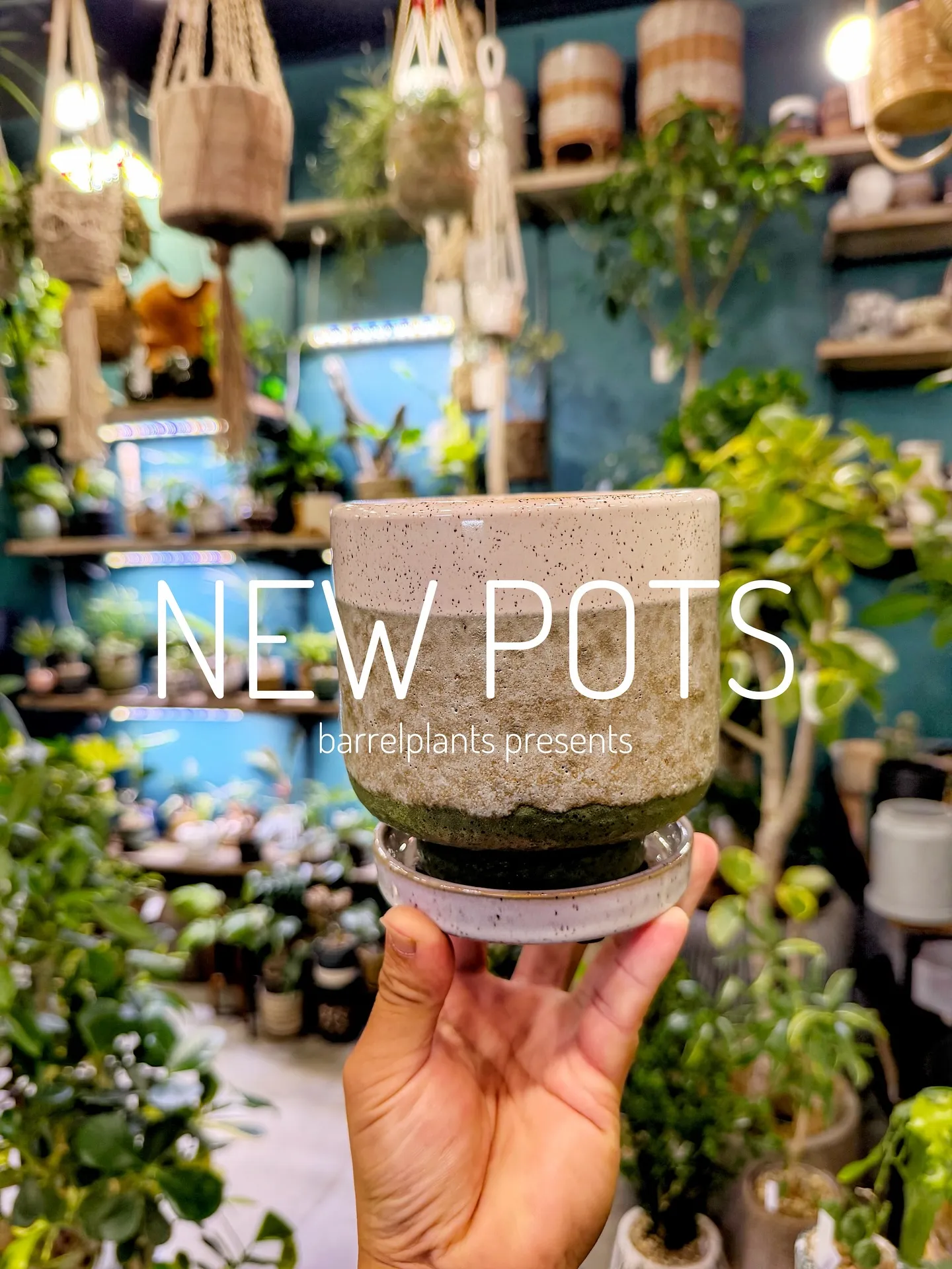 【植物専門店barrelplantsのオススメする鉢達入荷‼...