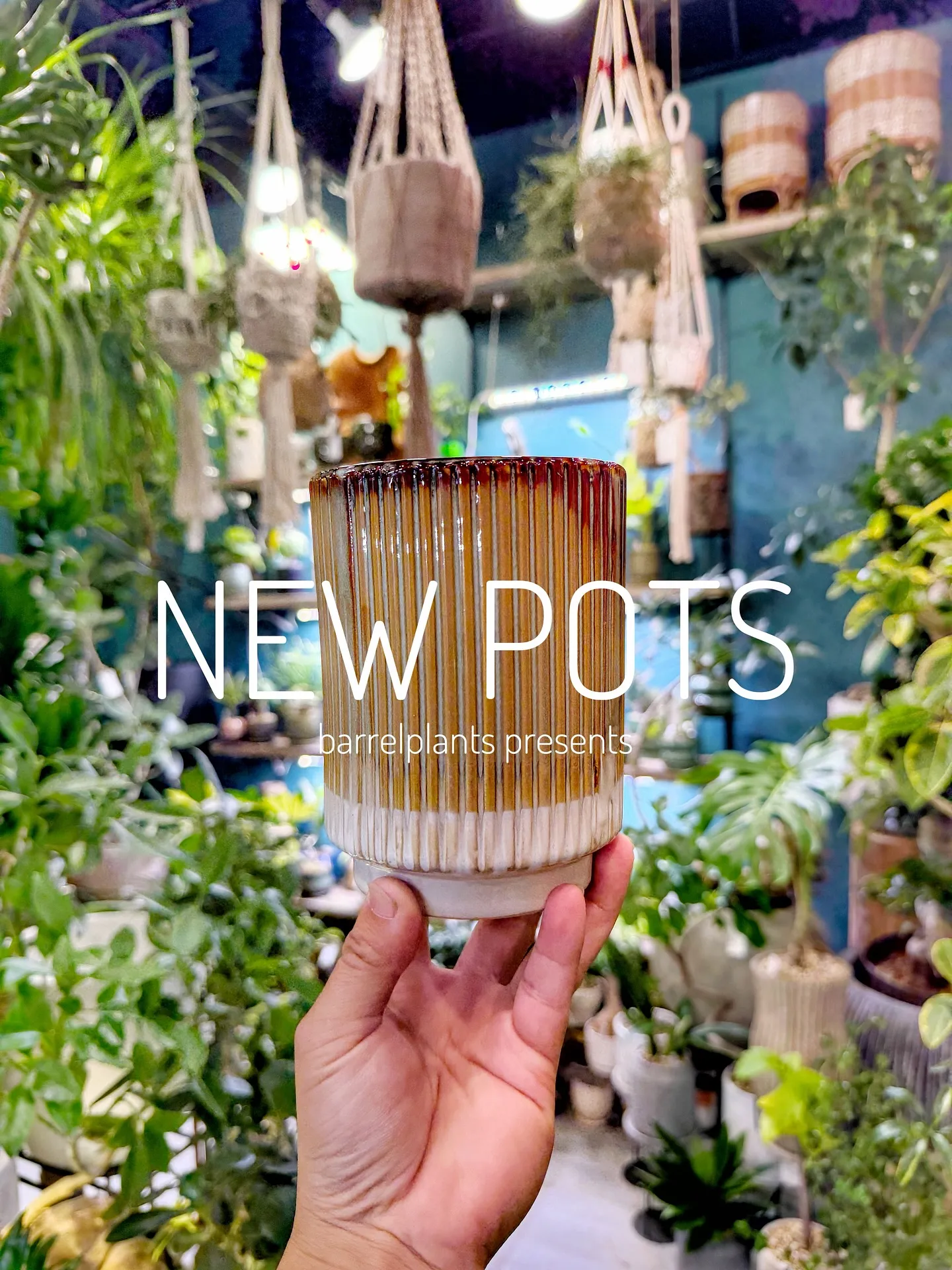 【植物専門店barrelplantsのオススメする鉢達入荷‼...